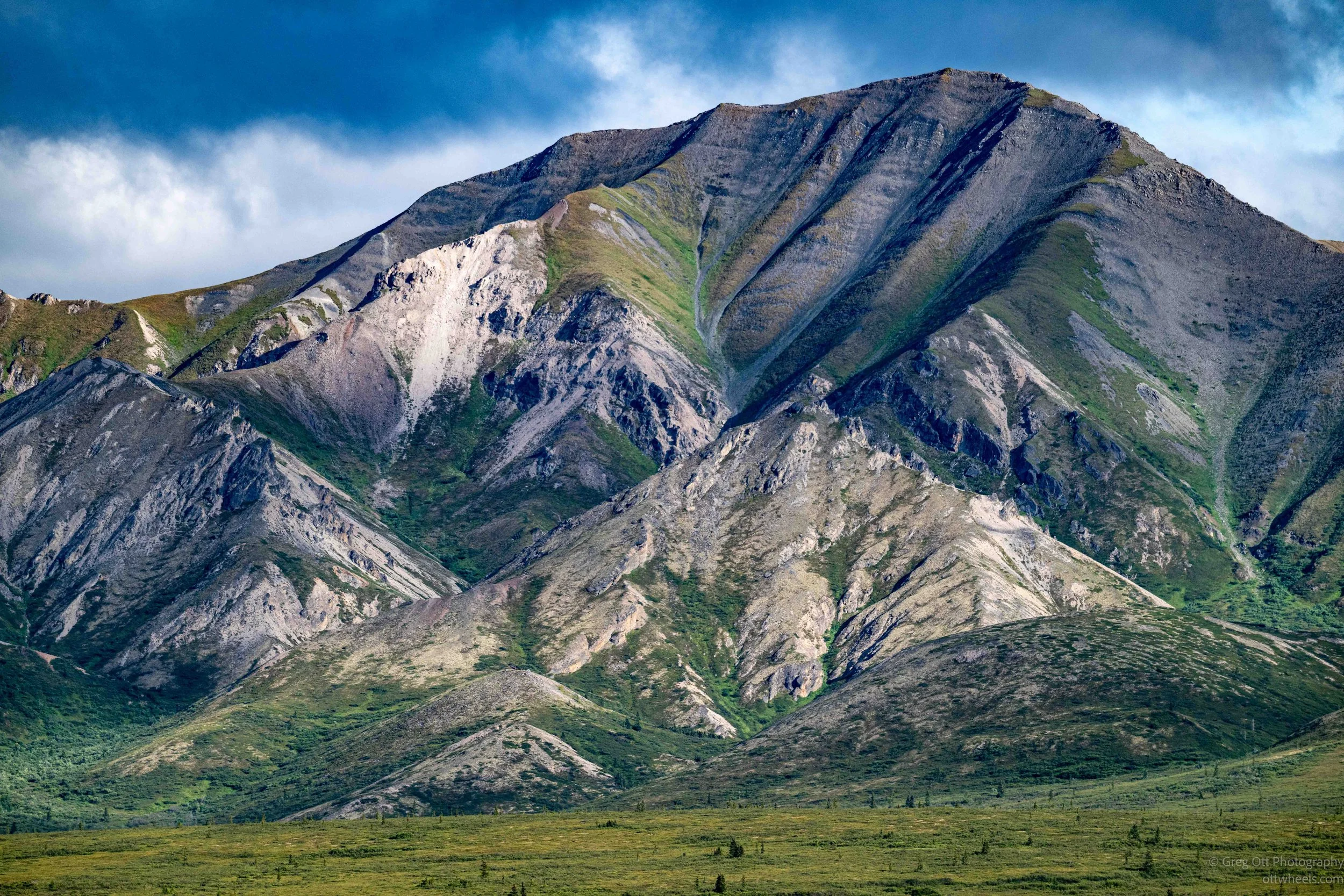 _NZ80403.jpg