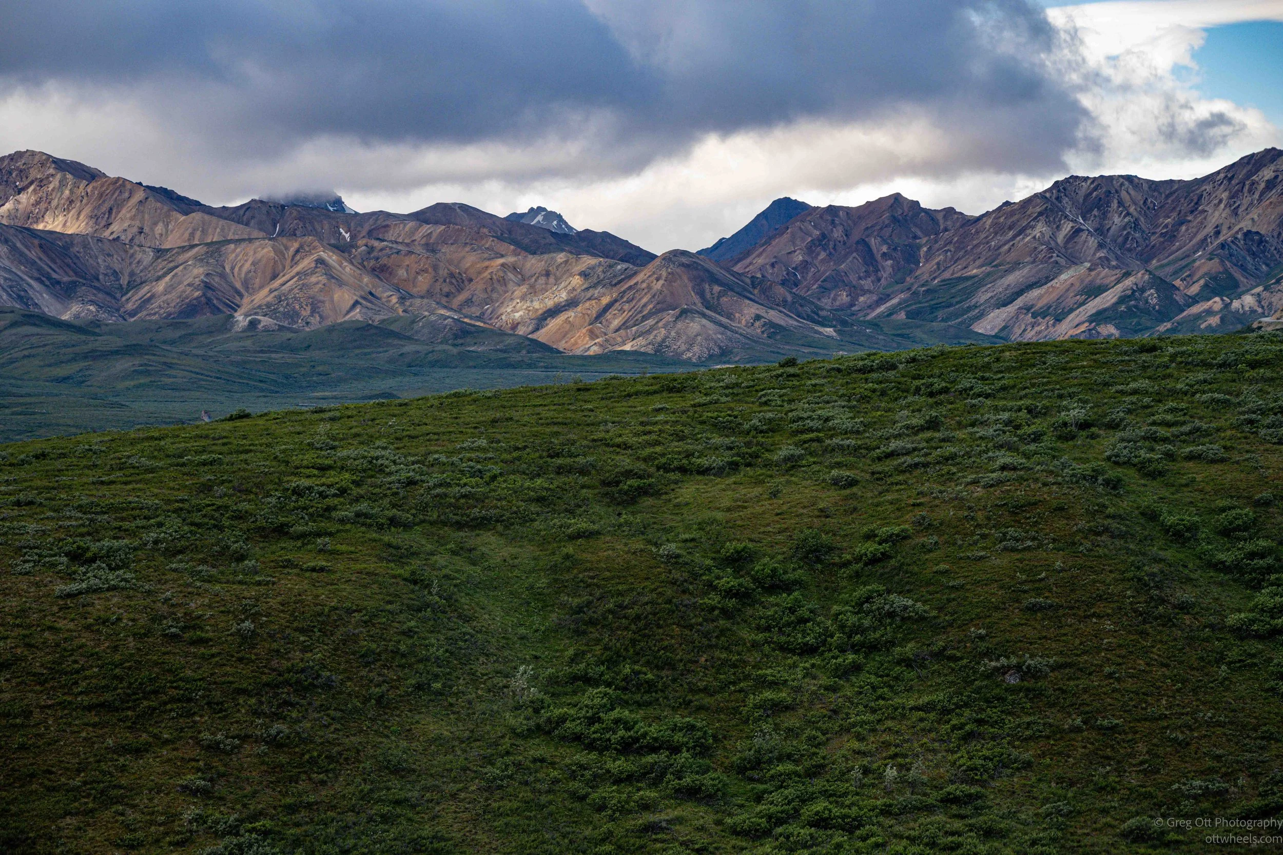 _NZ74405.jpg