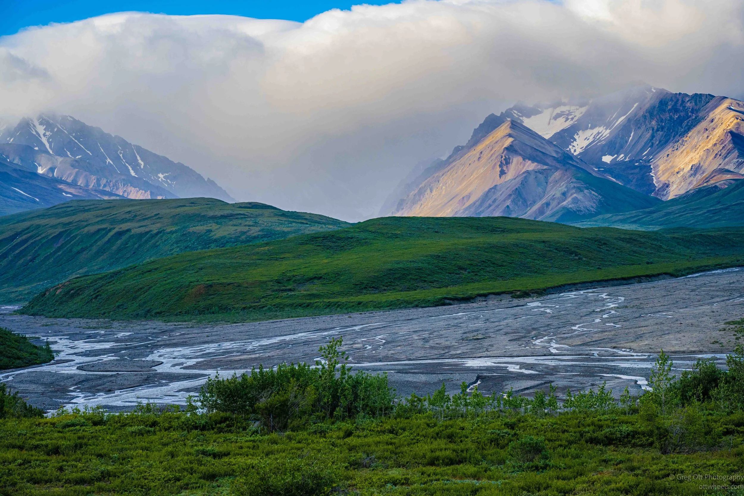 _NZ74401.jpg