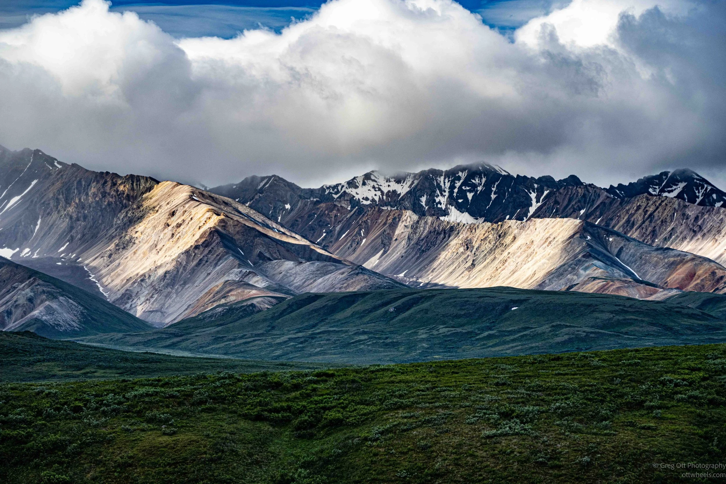 _NZ74404.jpg