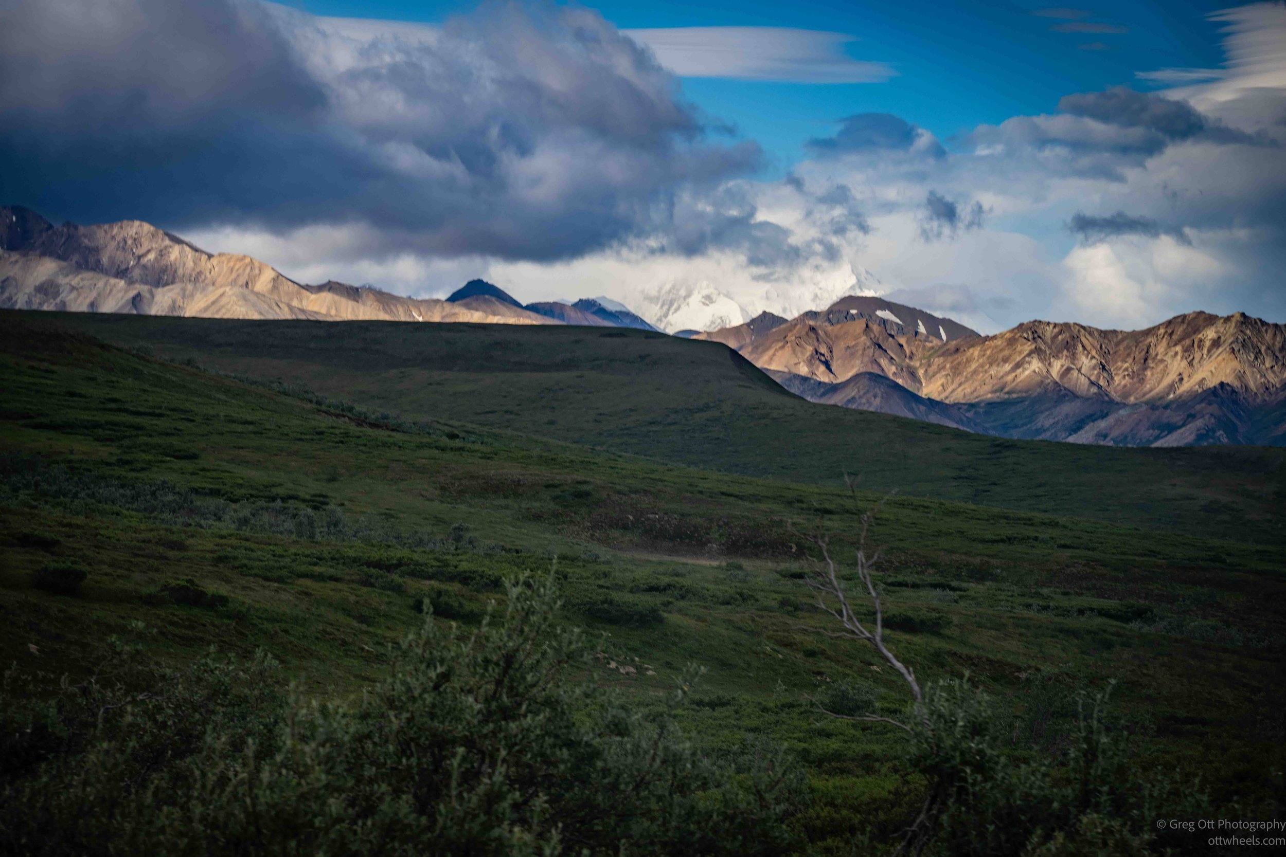 Denali Mountain in the center