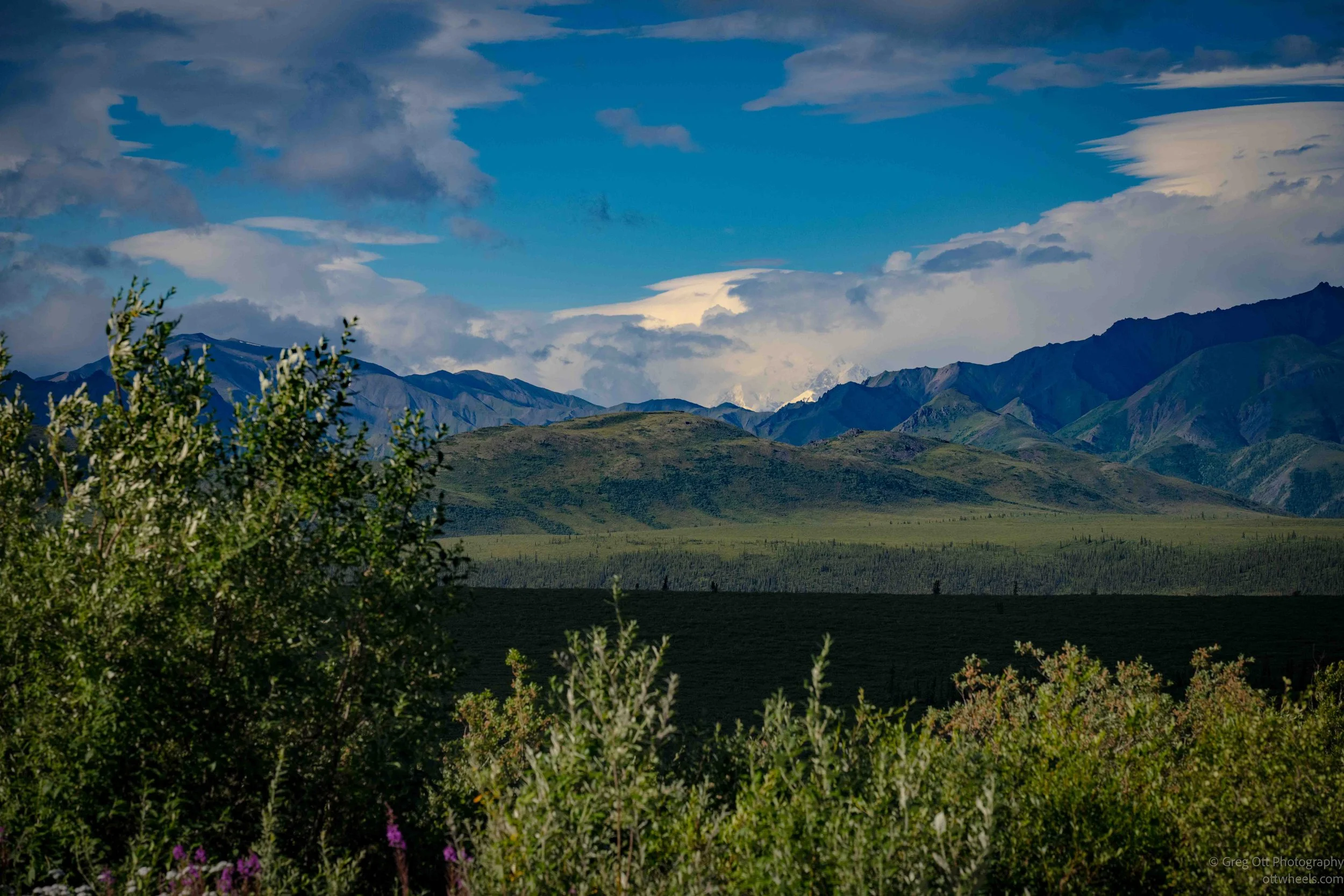 _NZ74437.jpg