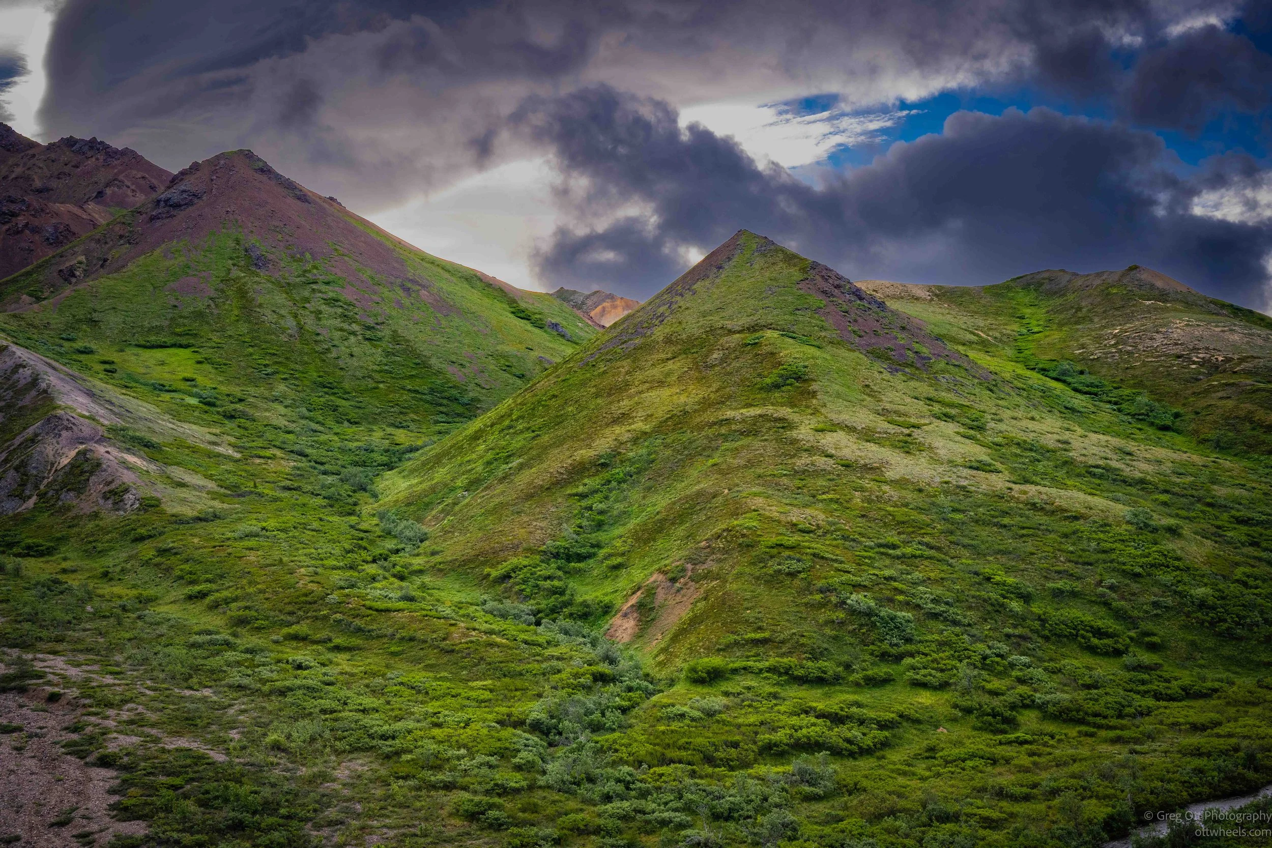 Denali: Tundra Wilderness Tour