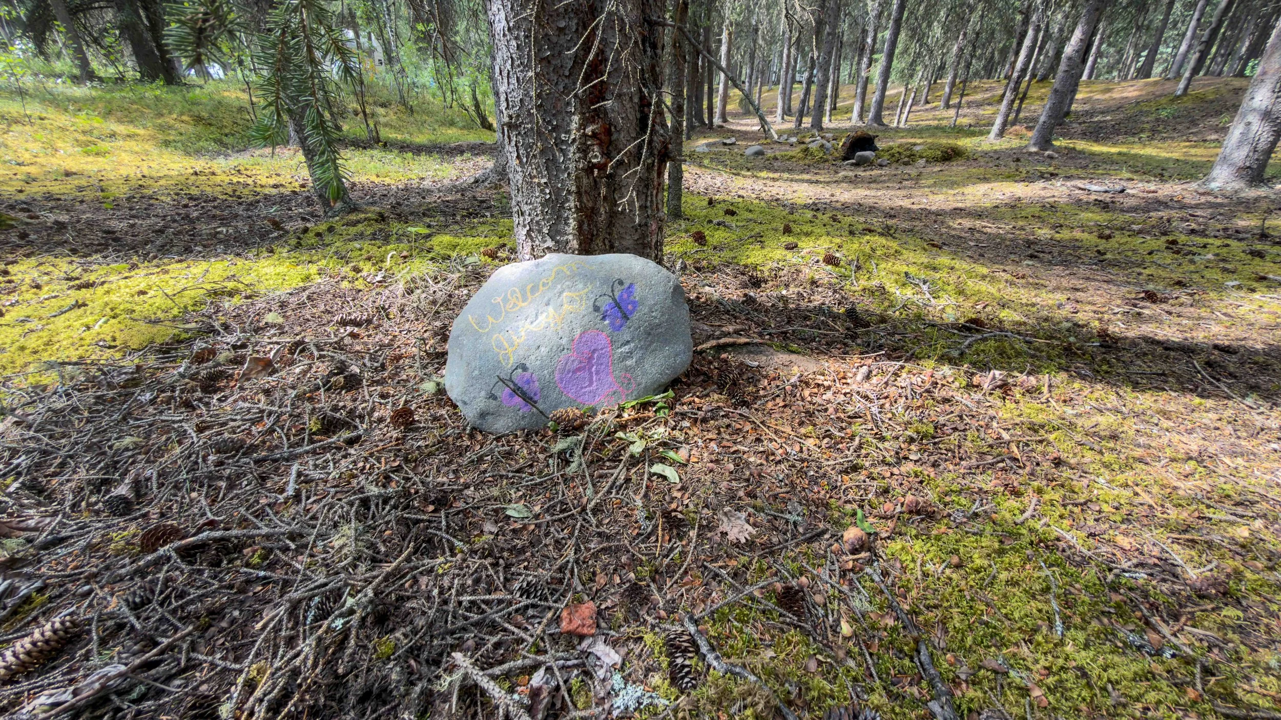 Rock Behind Camp Site