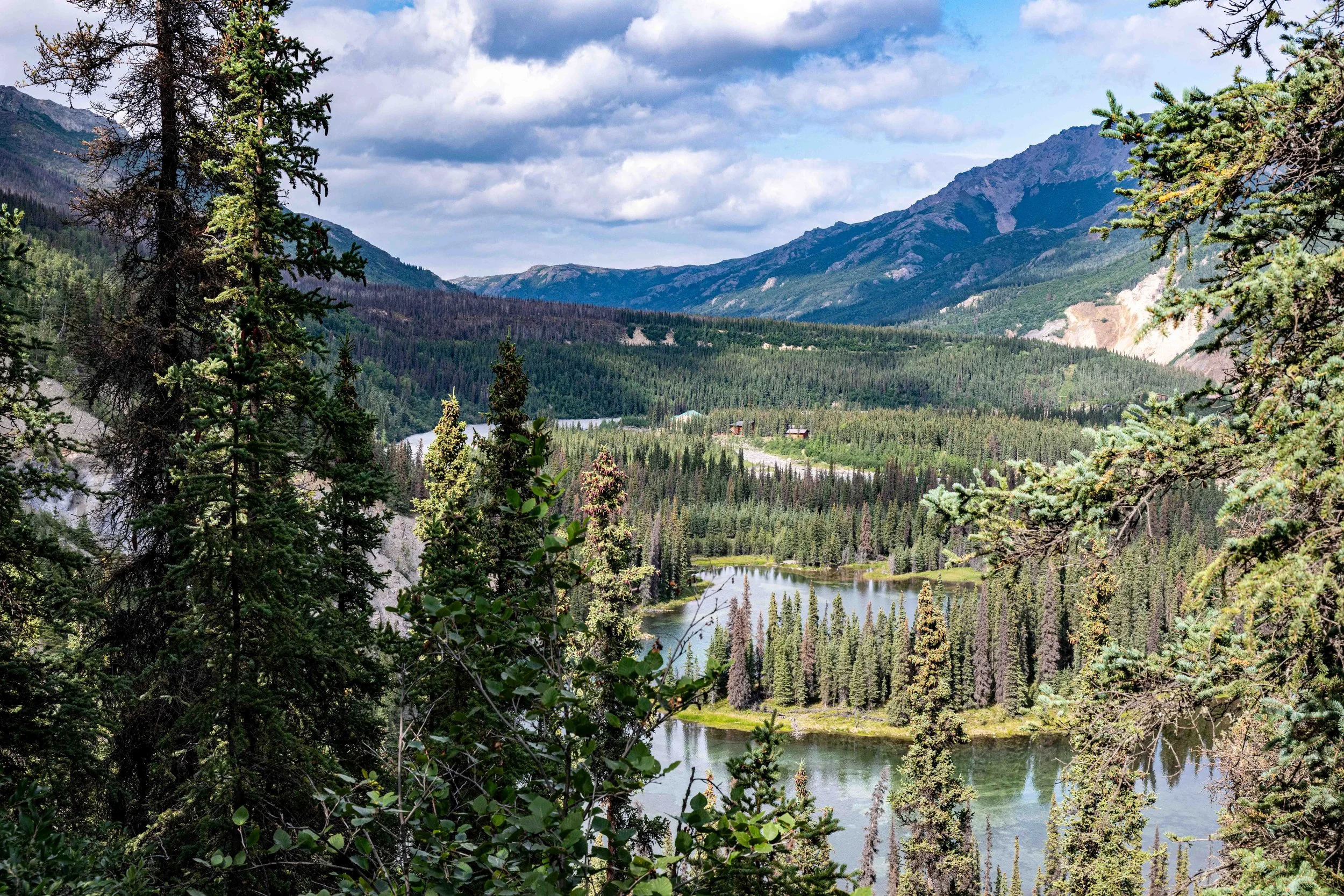A Week Between Denali and Fairbanks