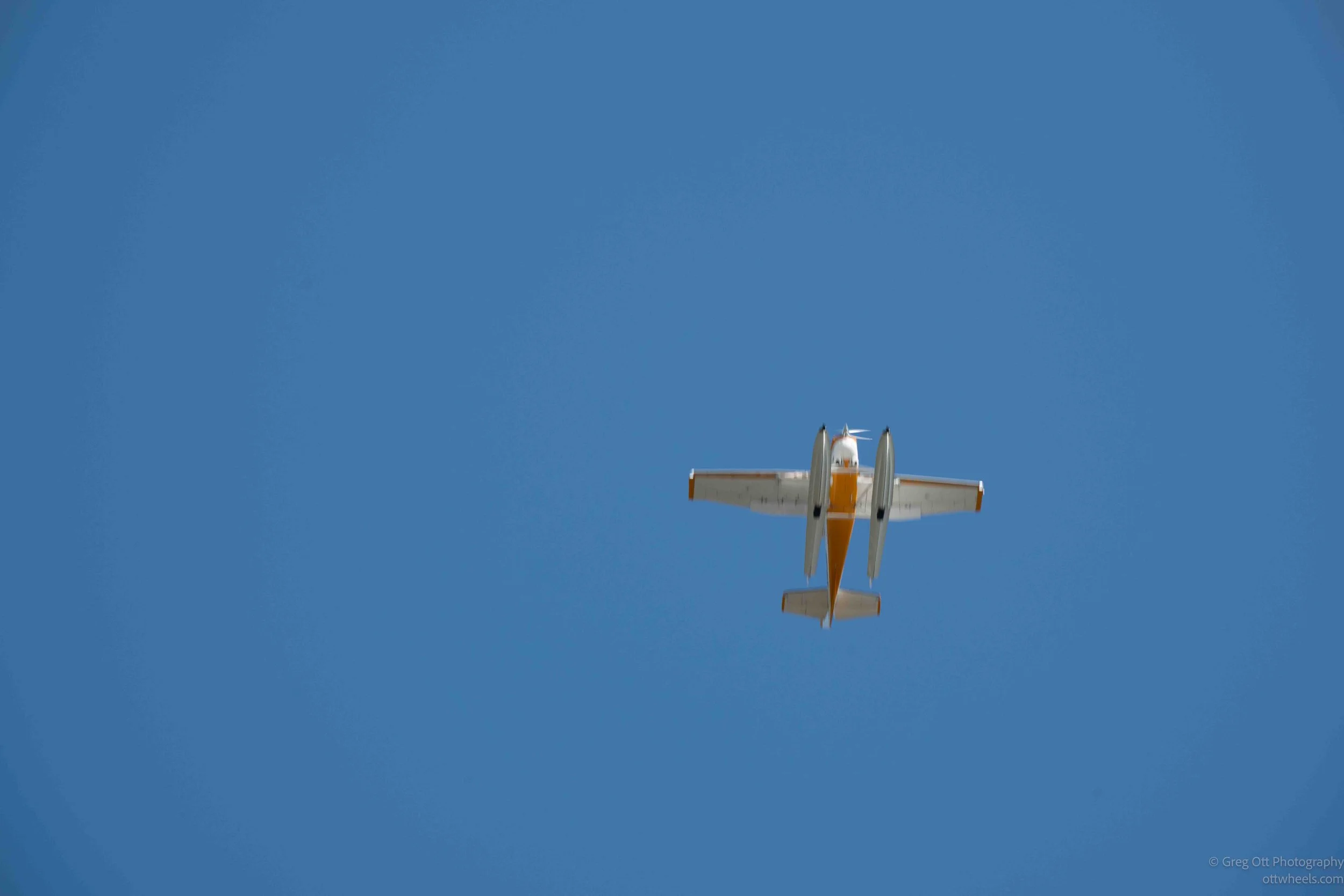 _NZ80526.jpg