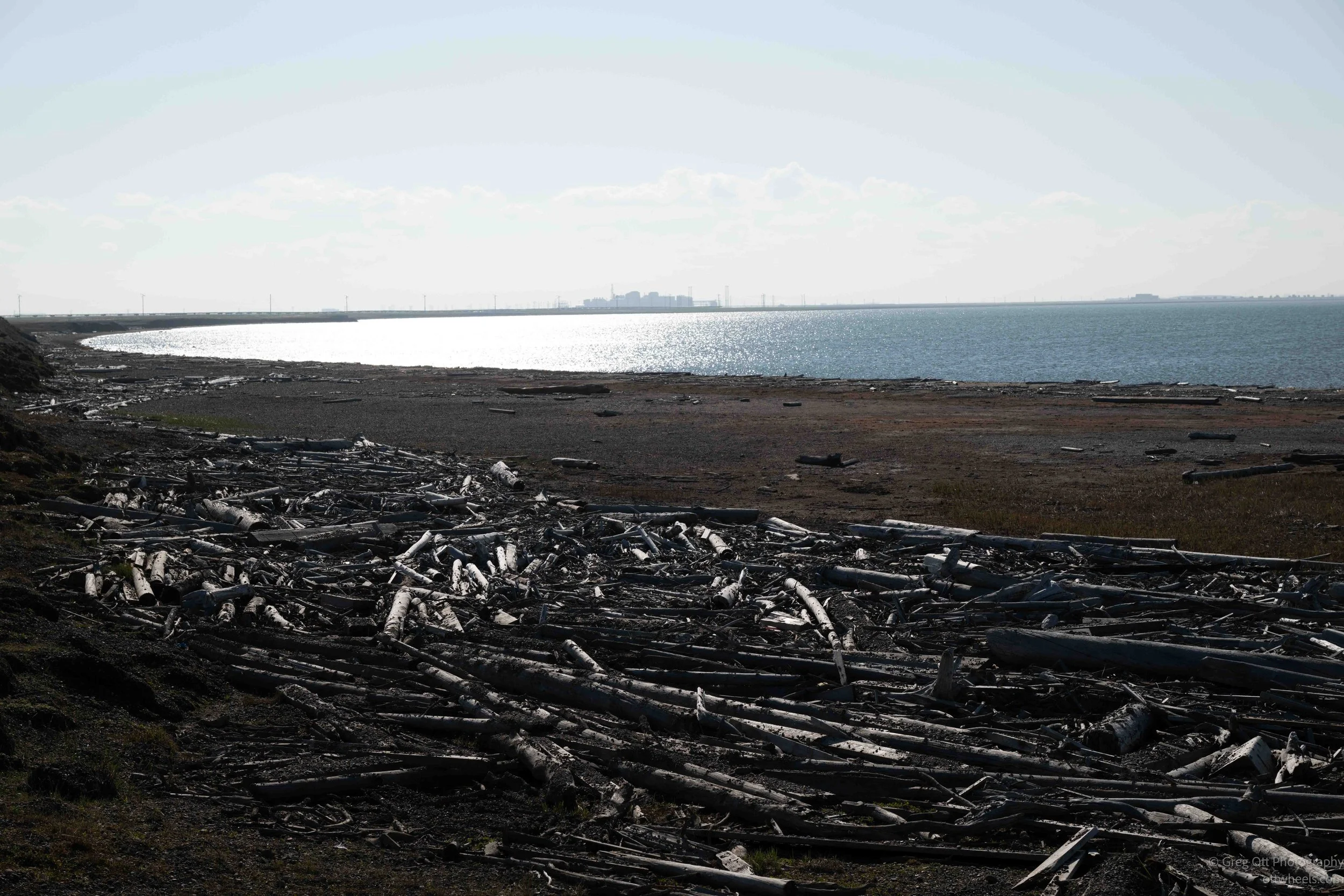 NZ8_0758.jpg