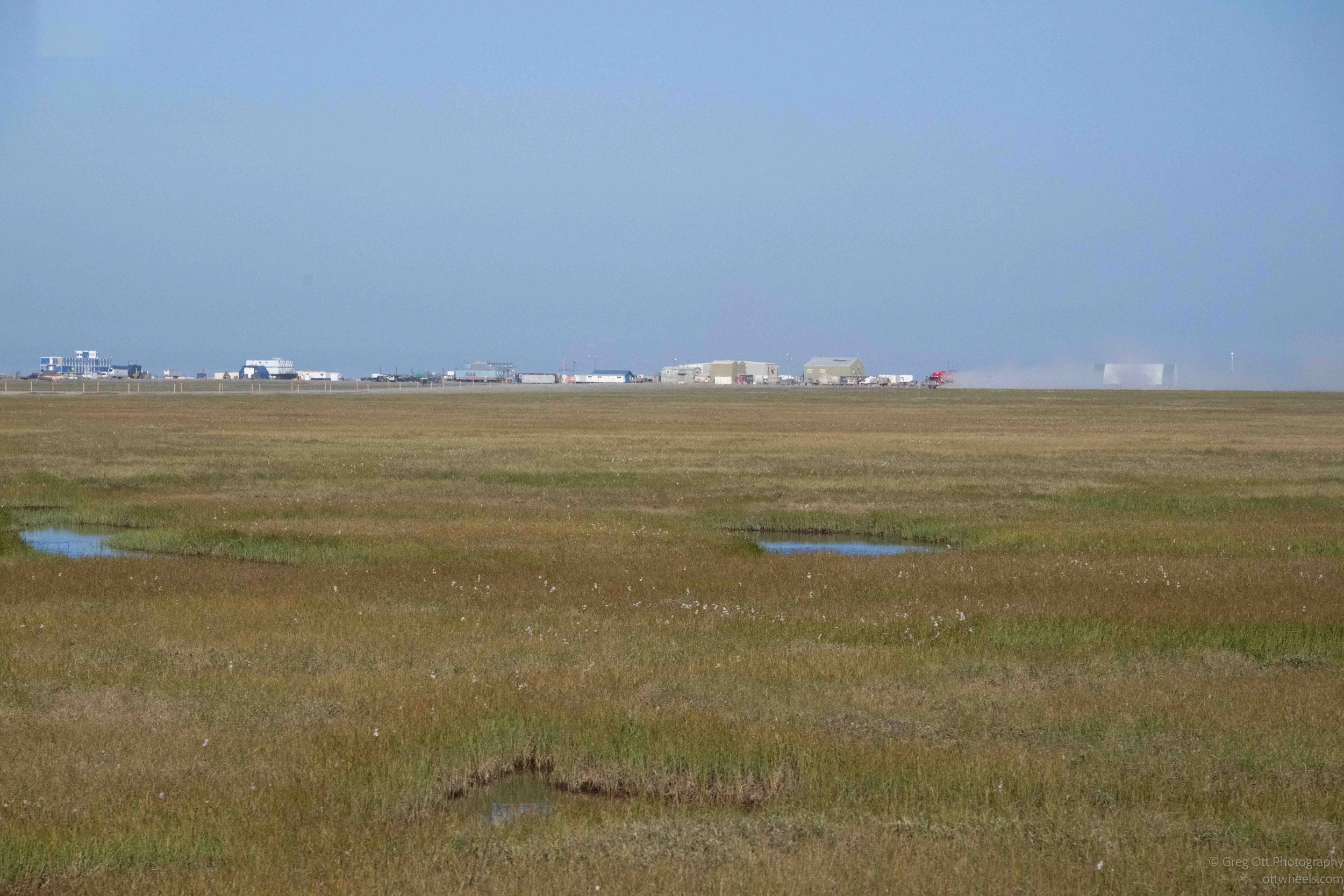 NZ8_0824.jpg