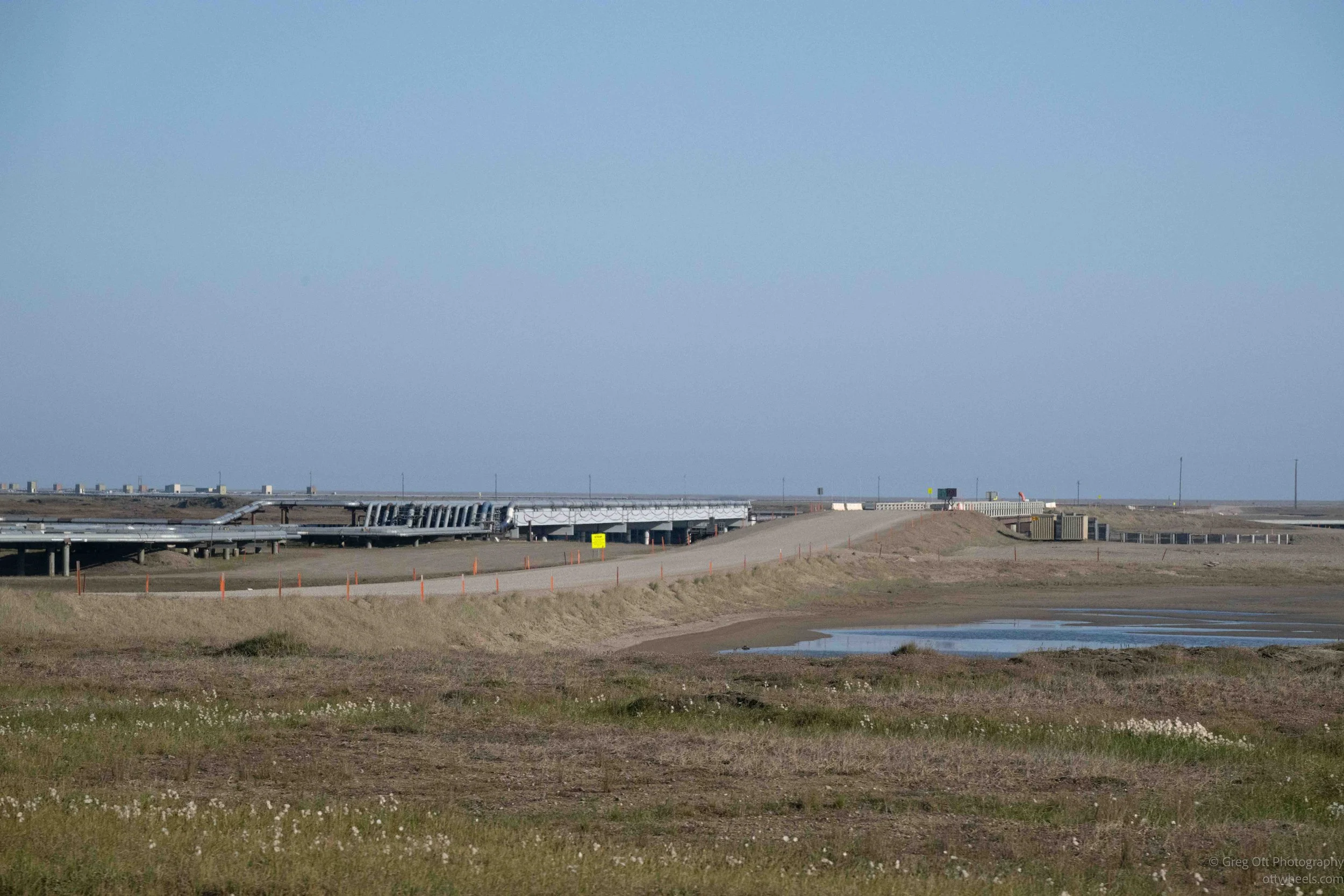 NZ8_0820.jpg