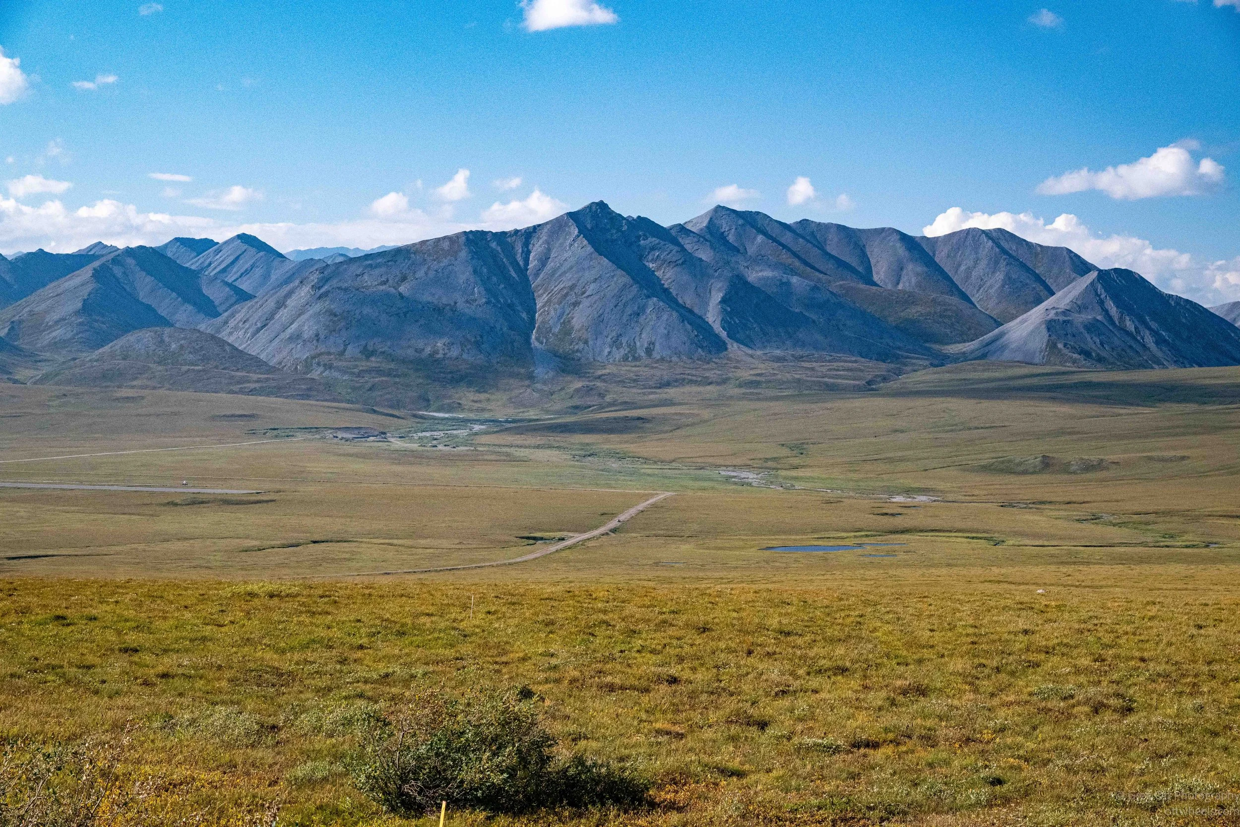 _NZ80923.jpg