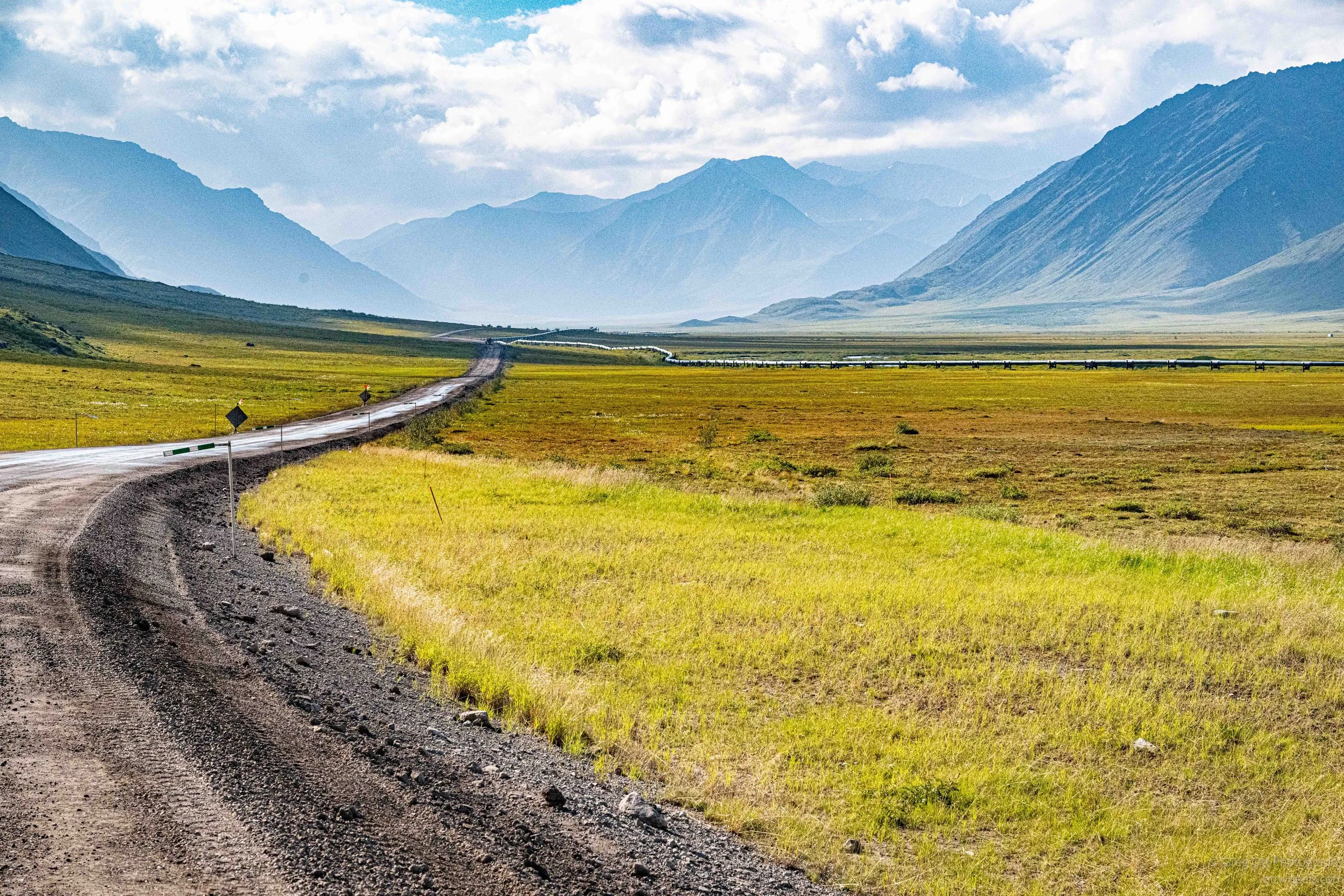 _NZ80934.jpg