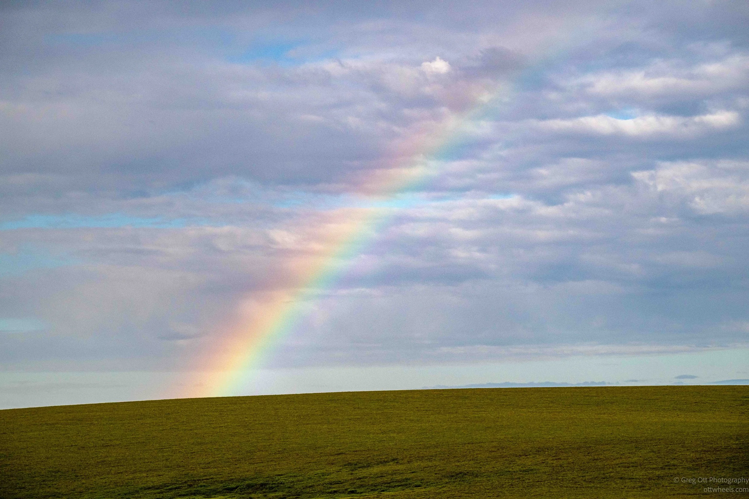 NZ8_0903.jpg