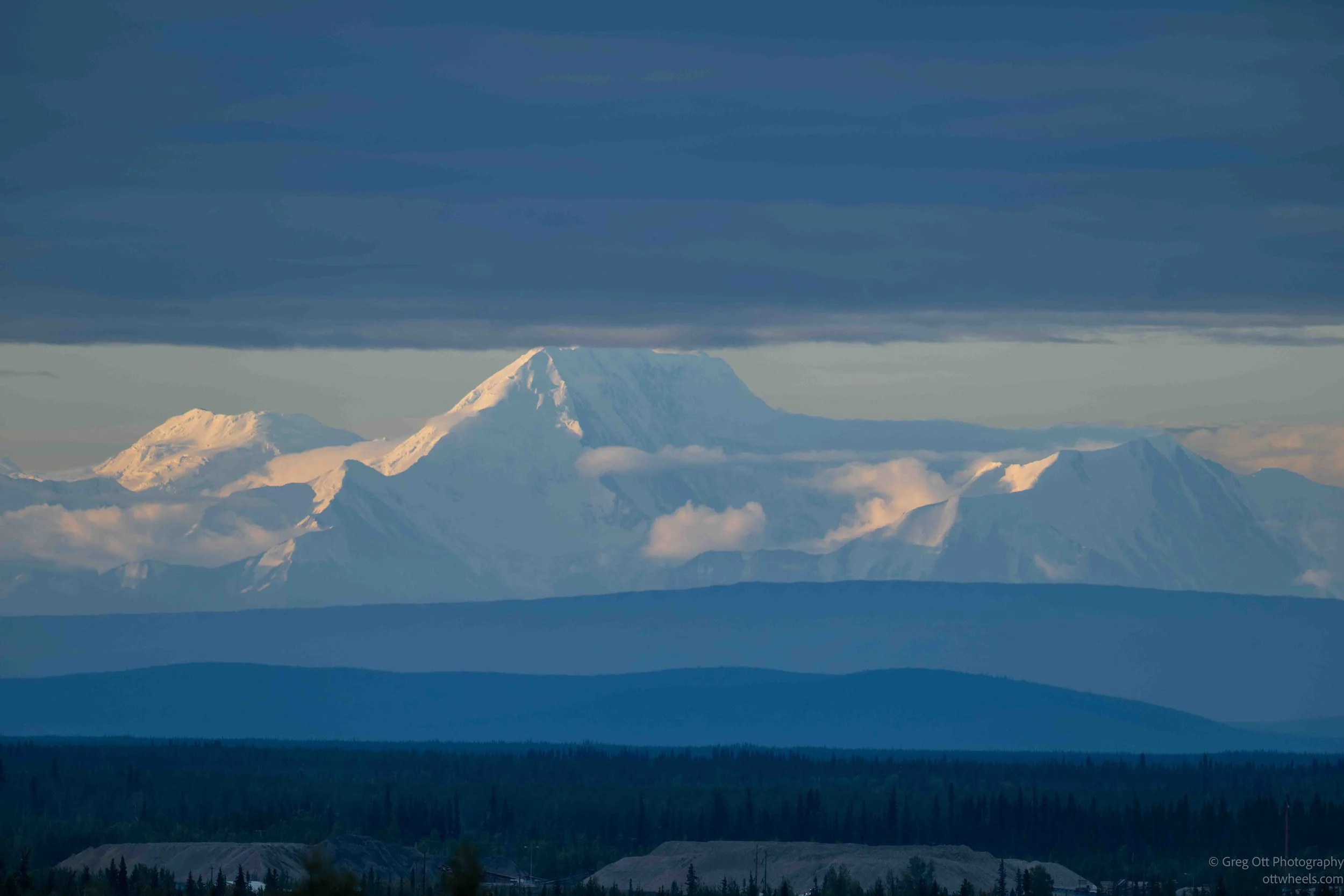 _NZ81214.jpg