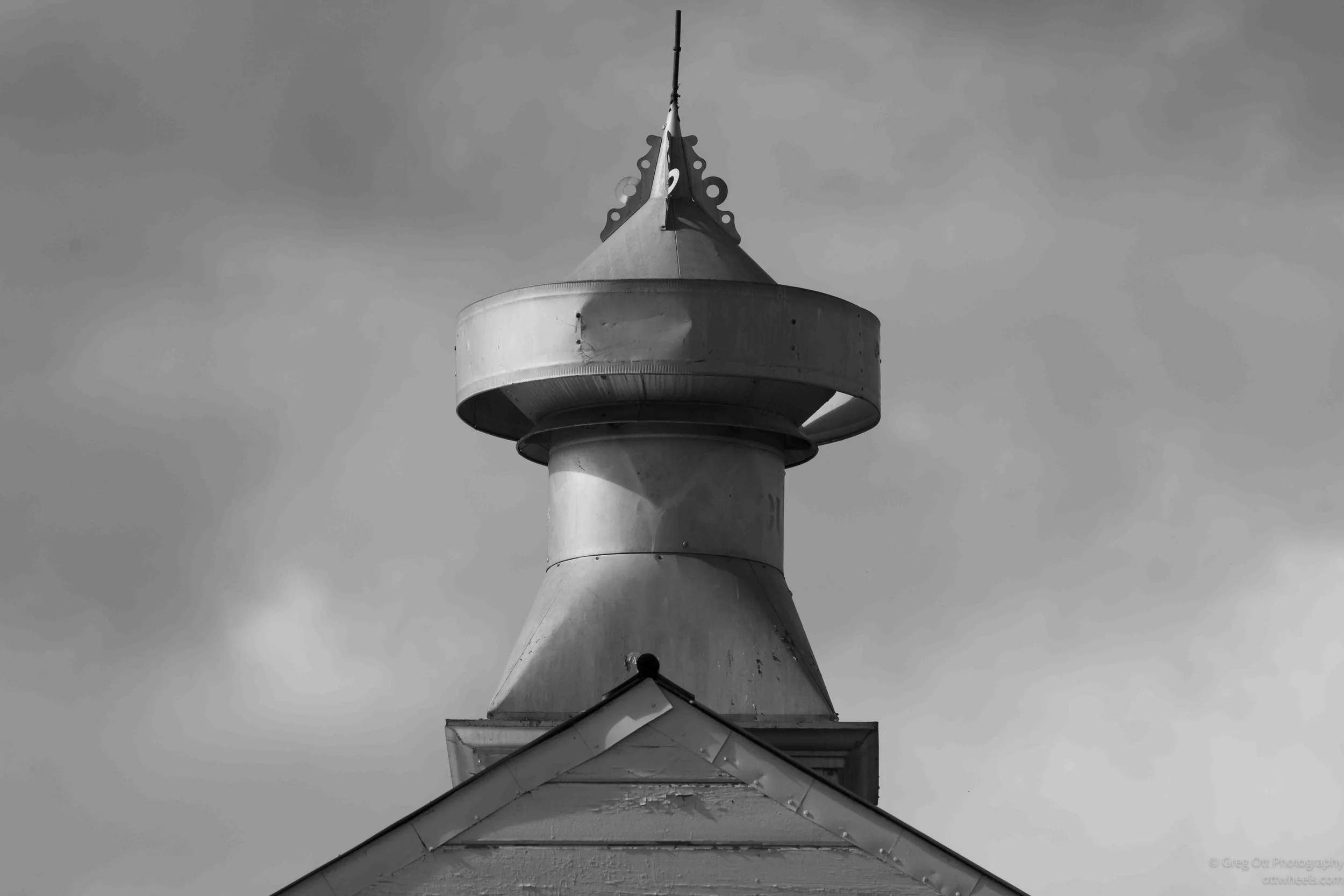 NZ8_1483.jpg