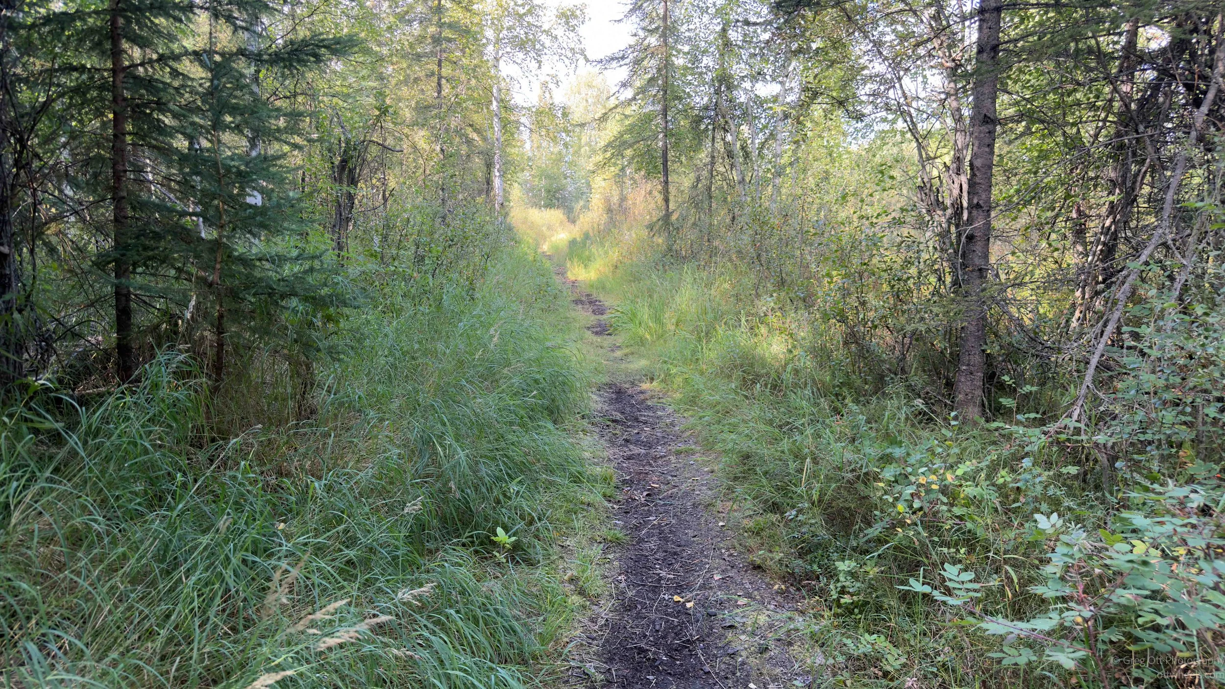 IMG_0778.jpg