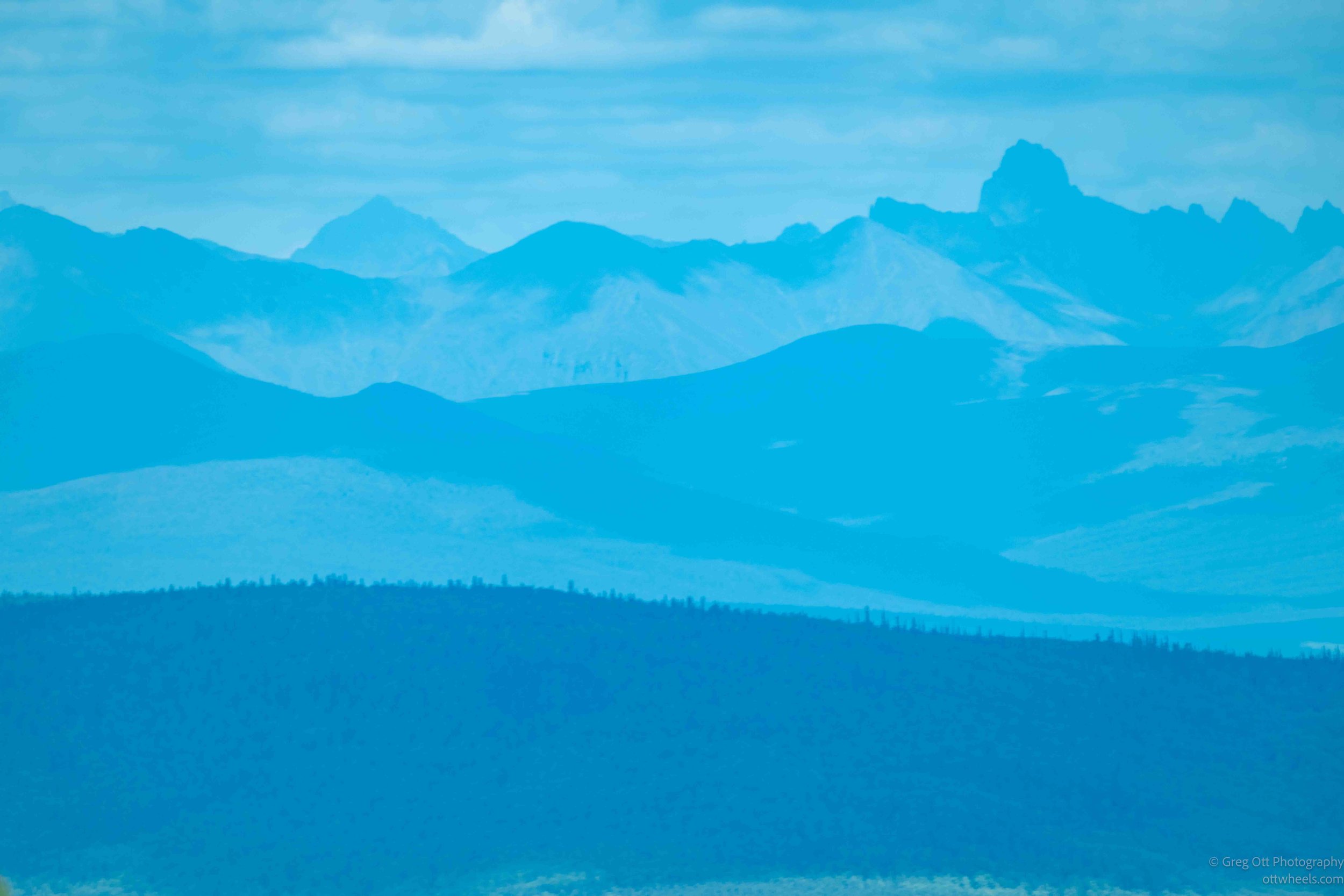 _NZ81527.jpg