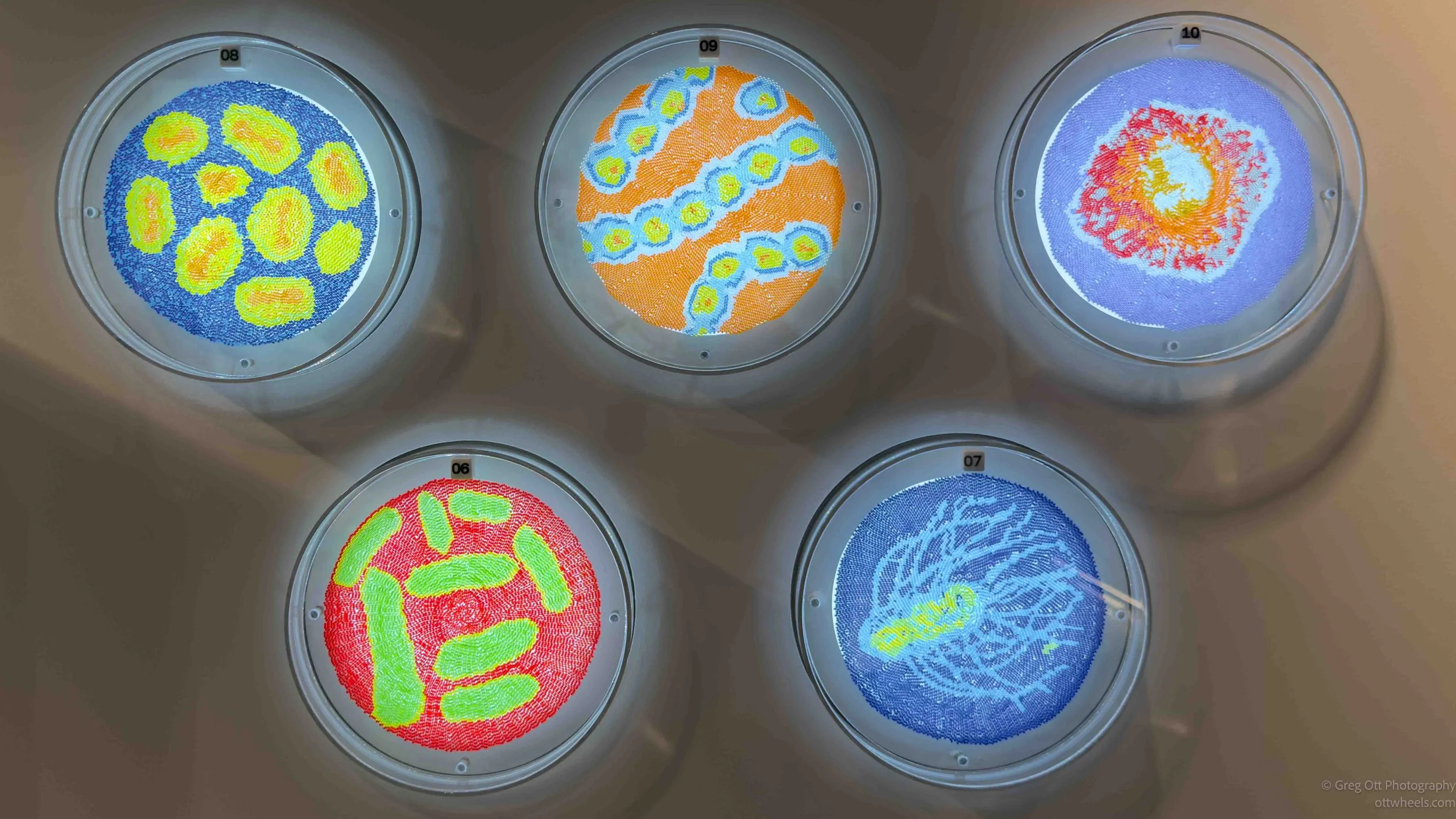 Disease Depicted in Beads-Ruth Cuthand