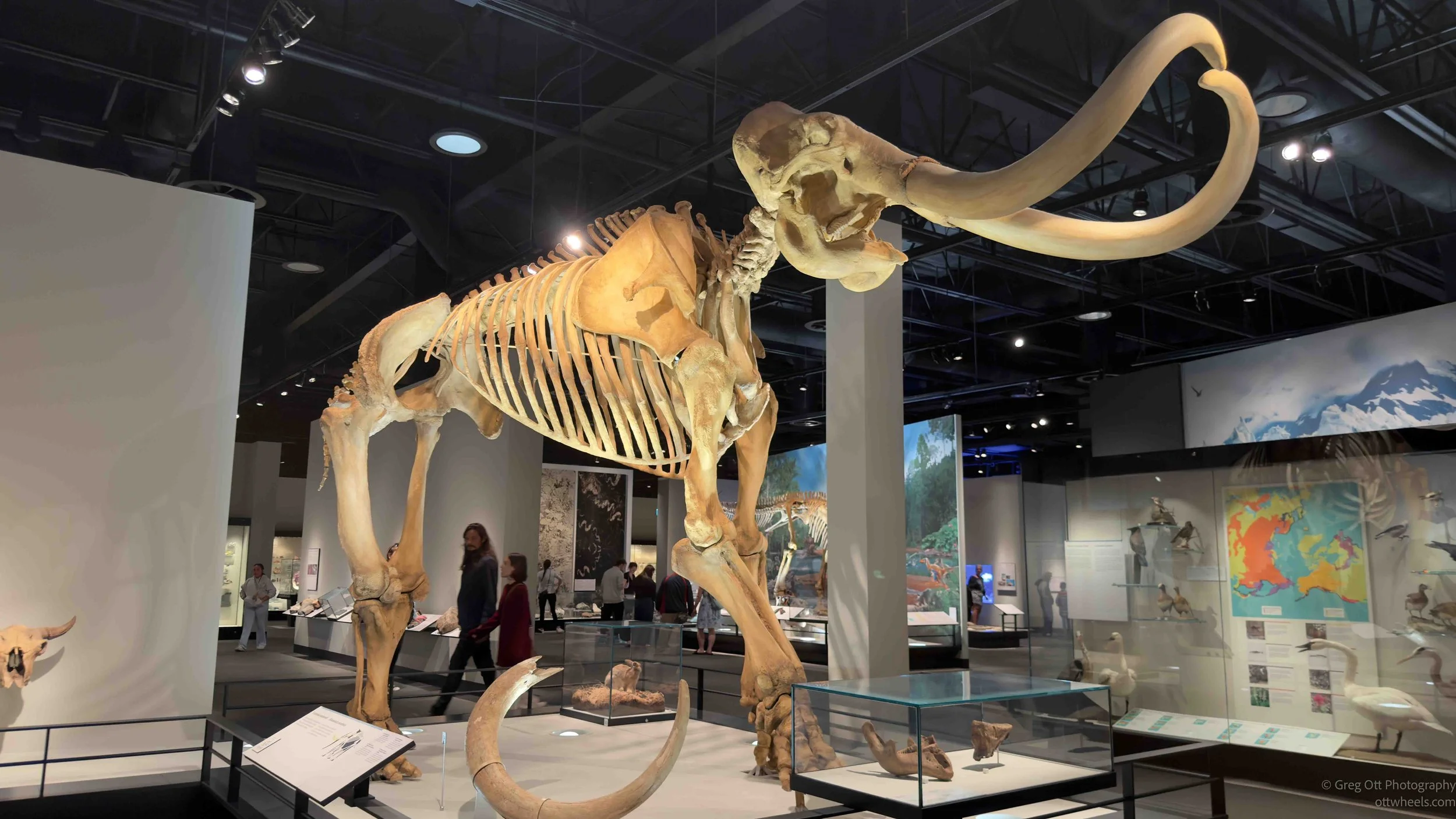 Royal Alberta Museum
