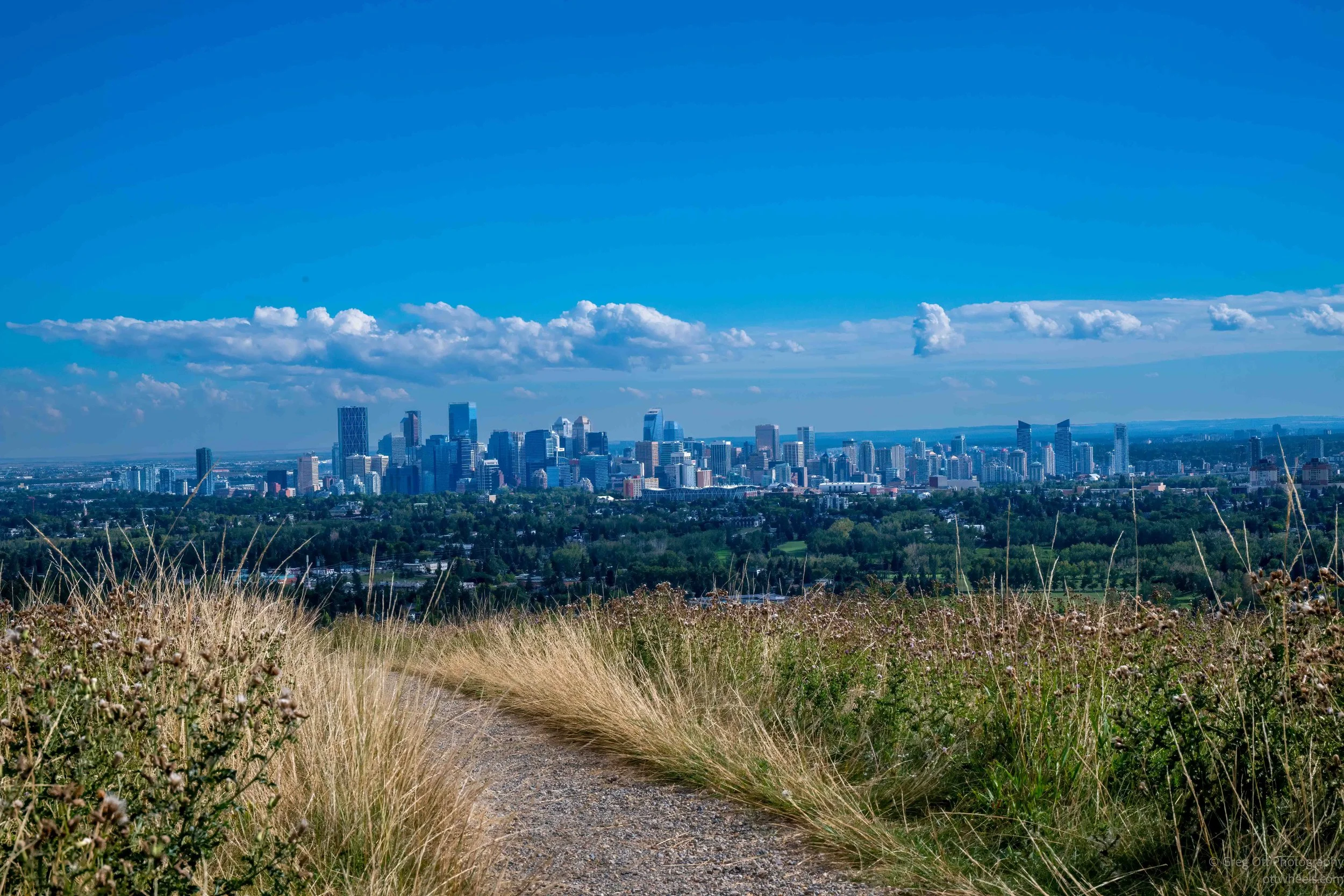 _NZ82517-Edit.jpg