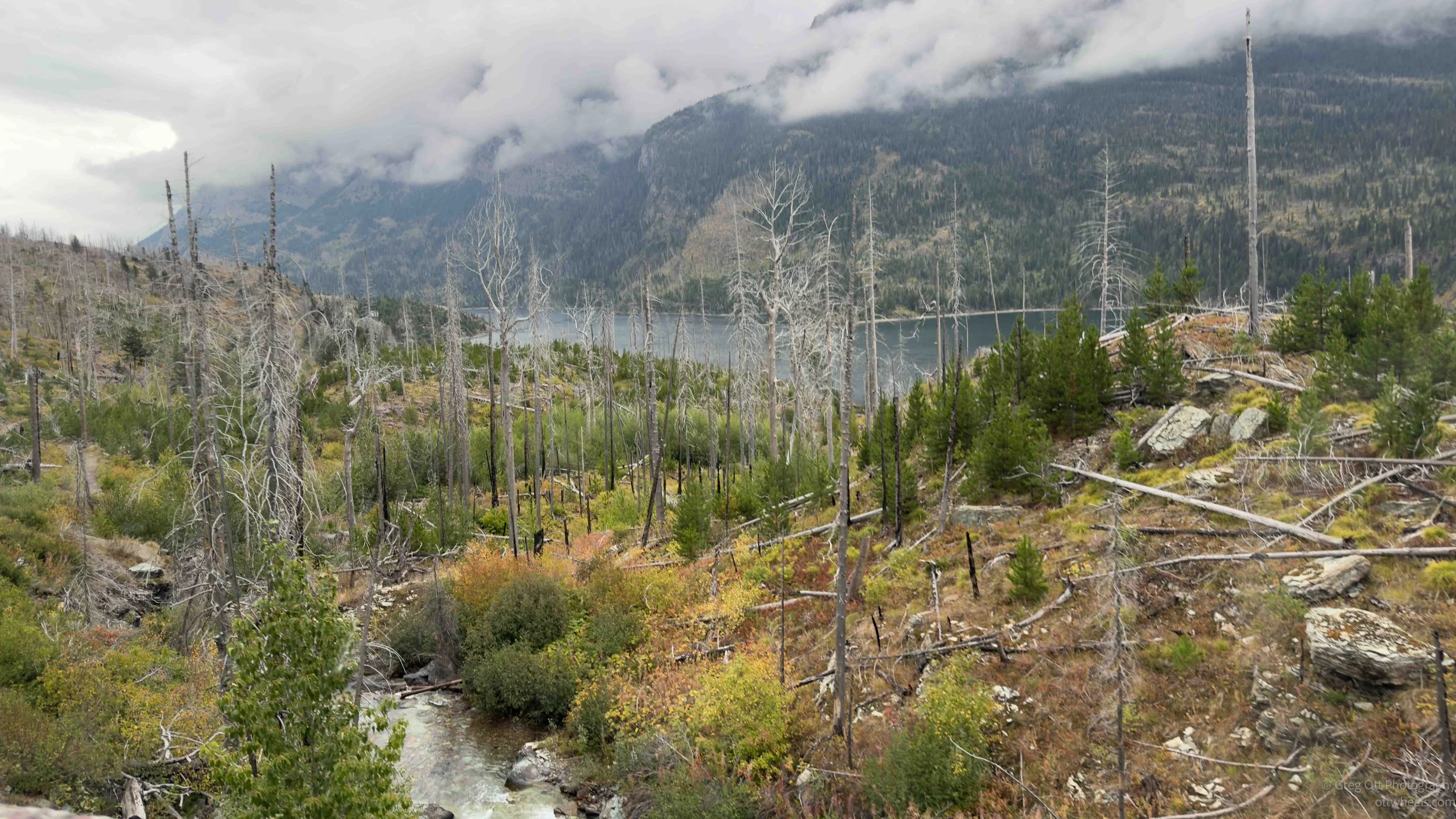 2015 Forest Fire