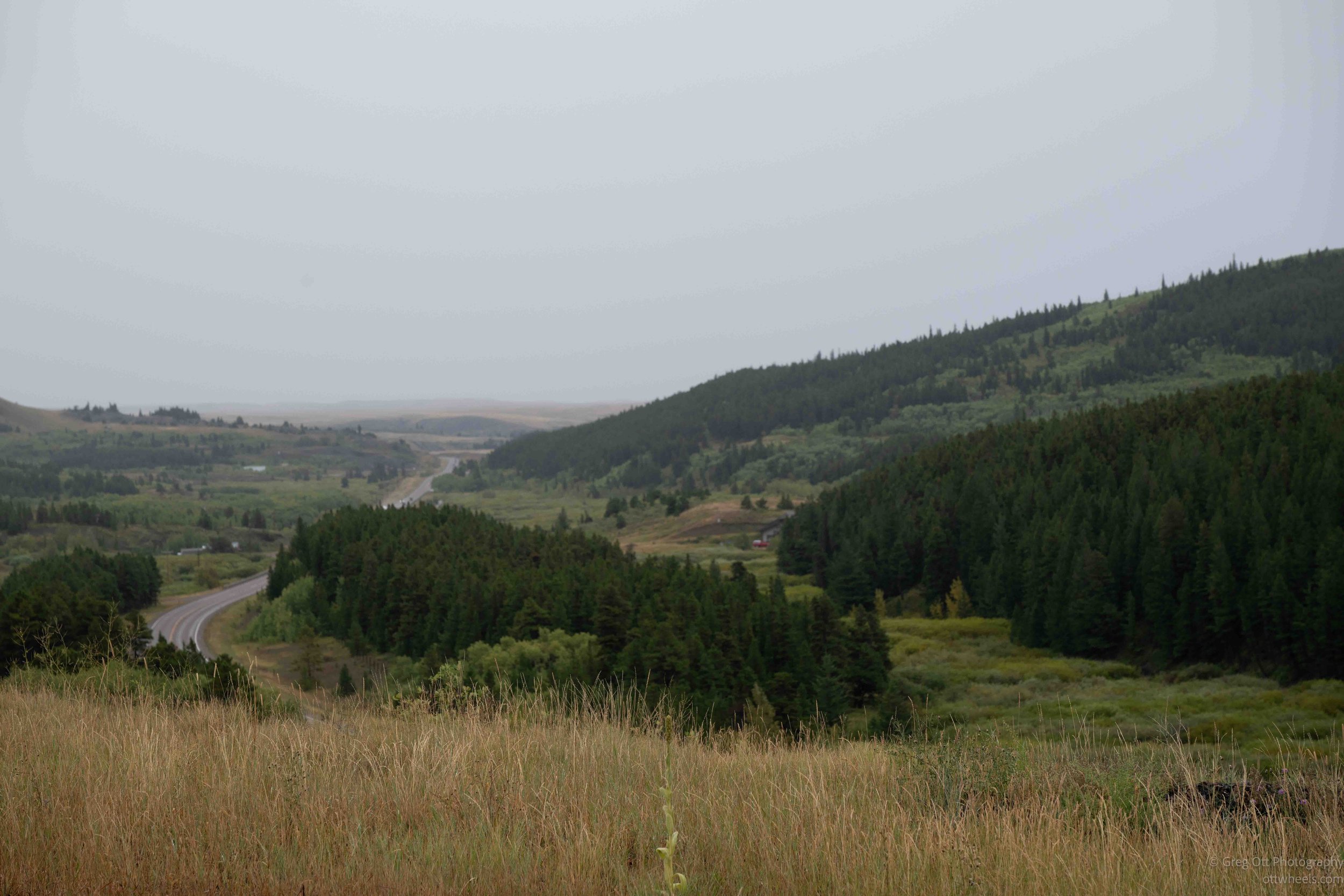 _NZ82660.jpg