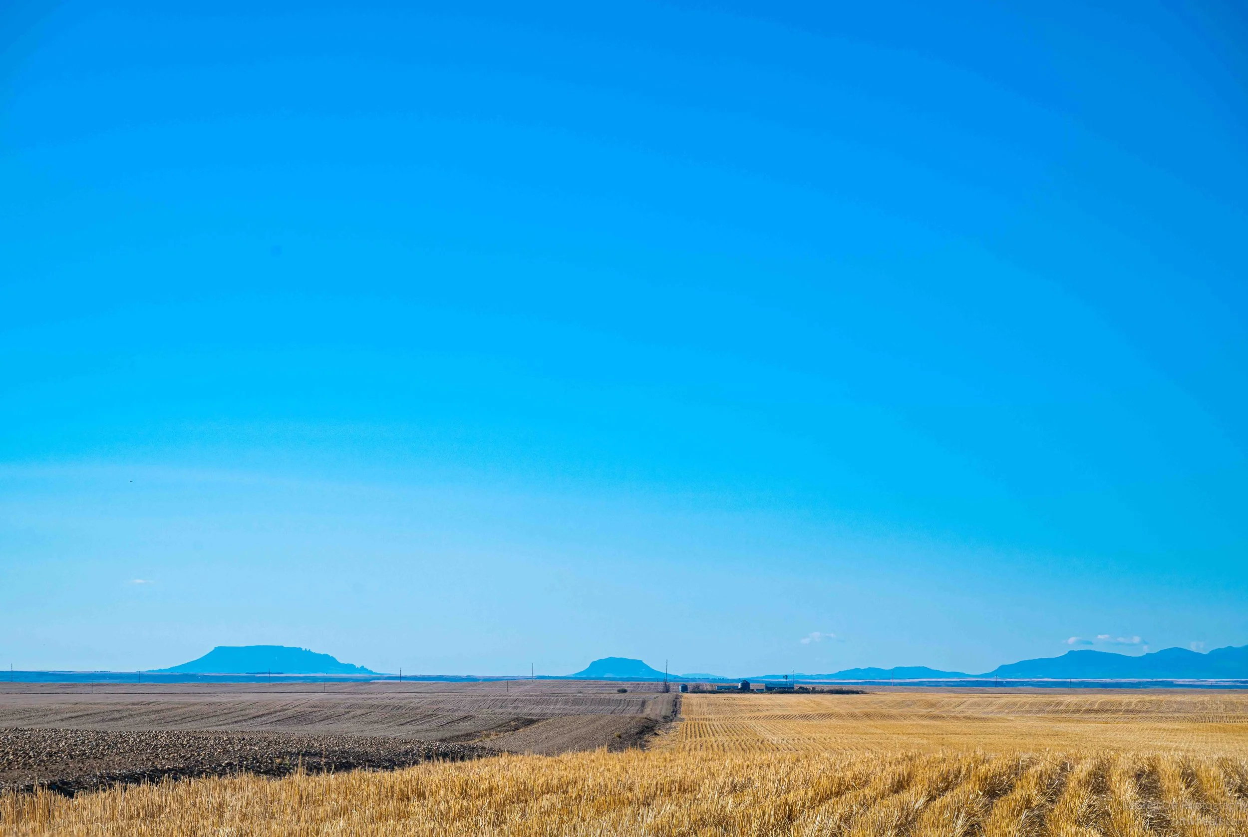 _NZ82909-Edit.jpg