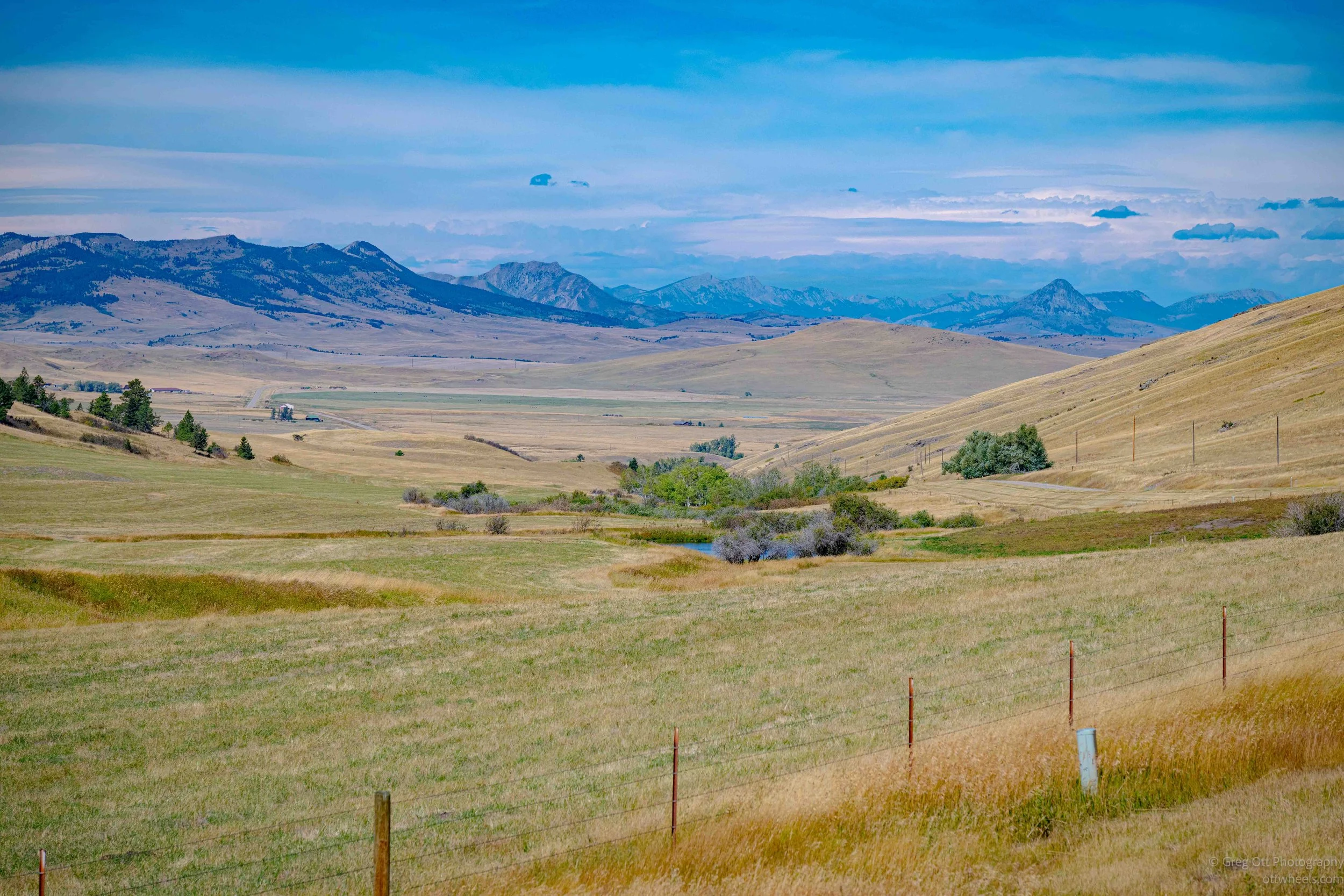 _NZ83095.jpg