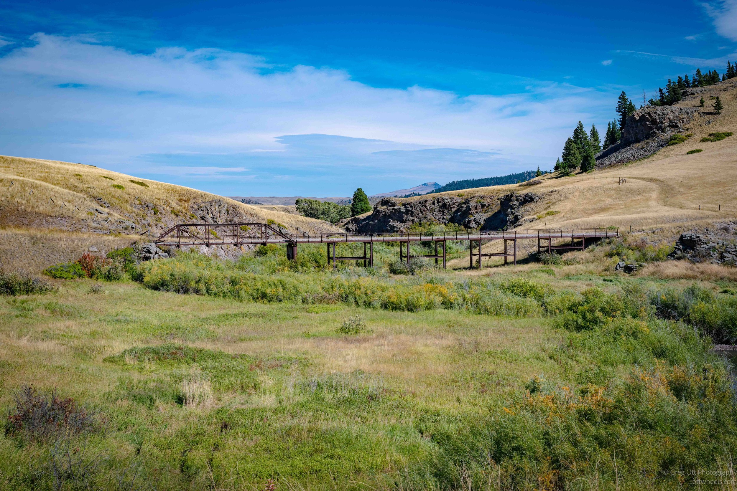 _NZ83096.jpg