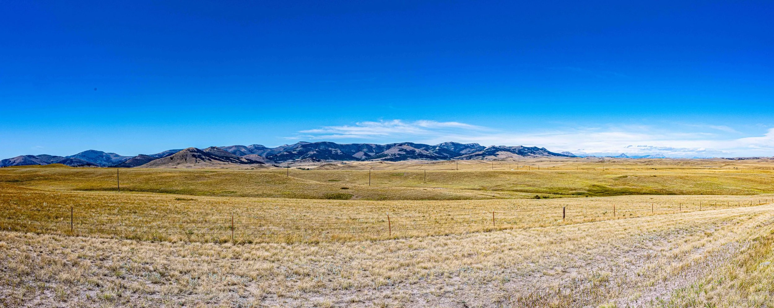 _NZ83105-Pano.jpg