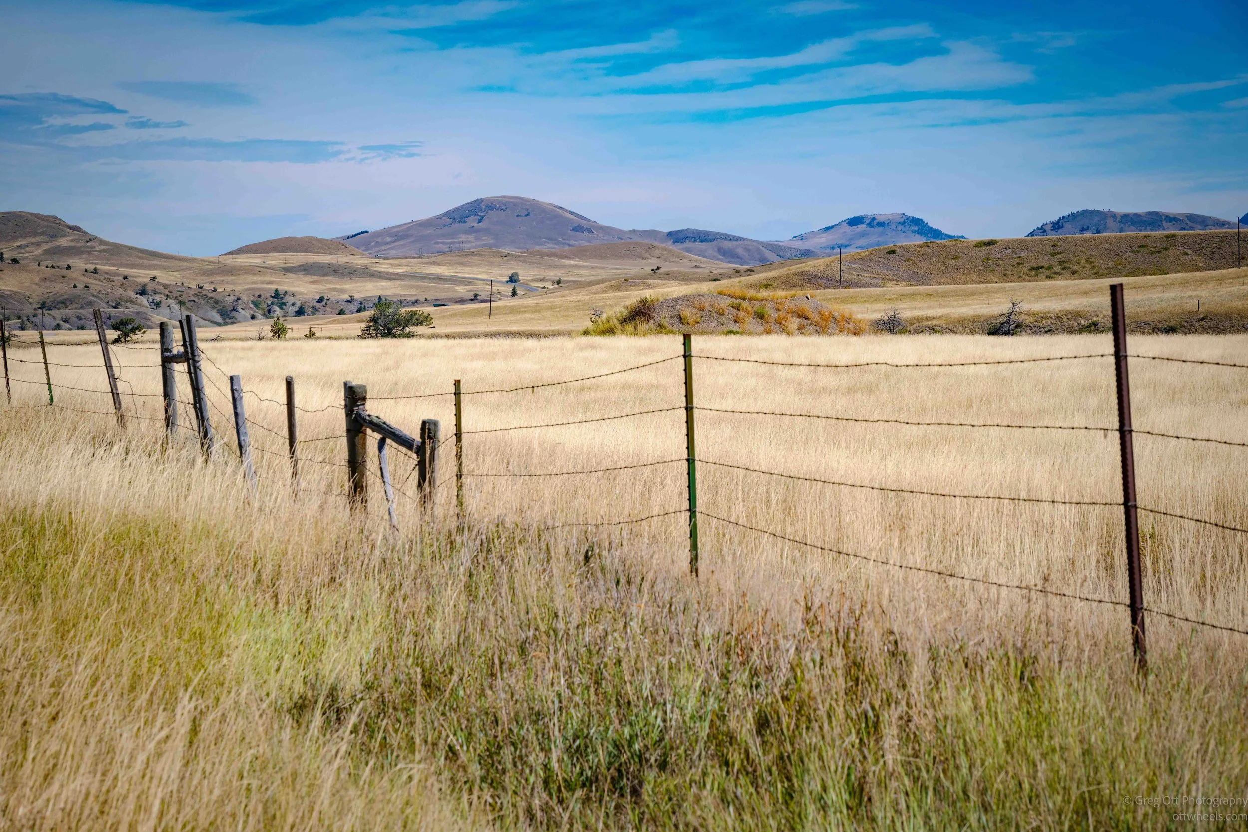 _NZ83118.jpg