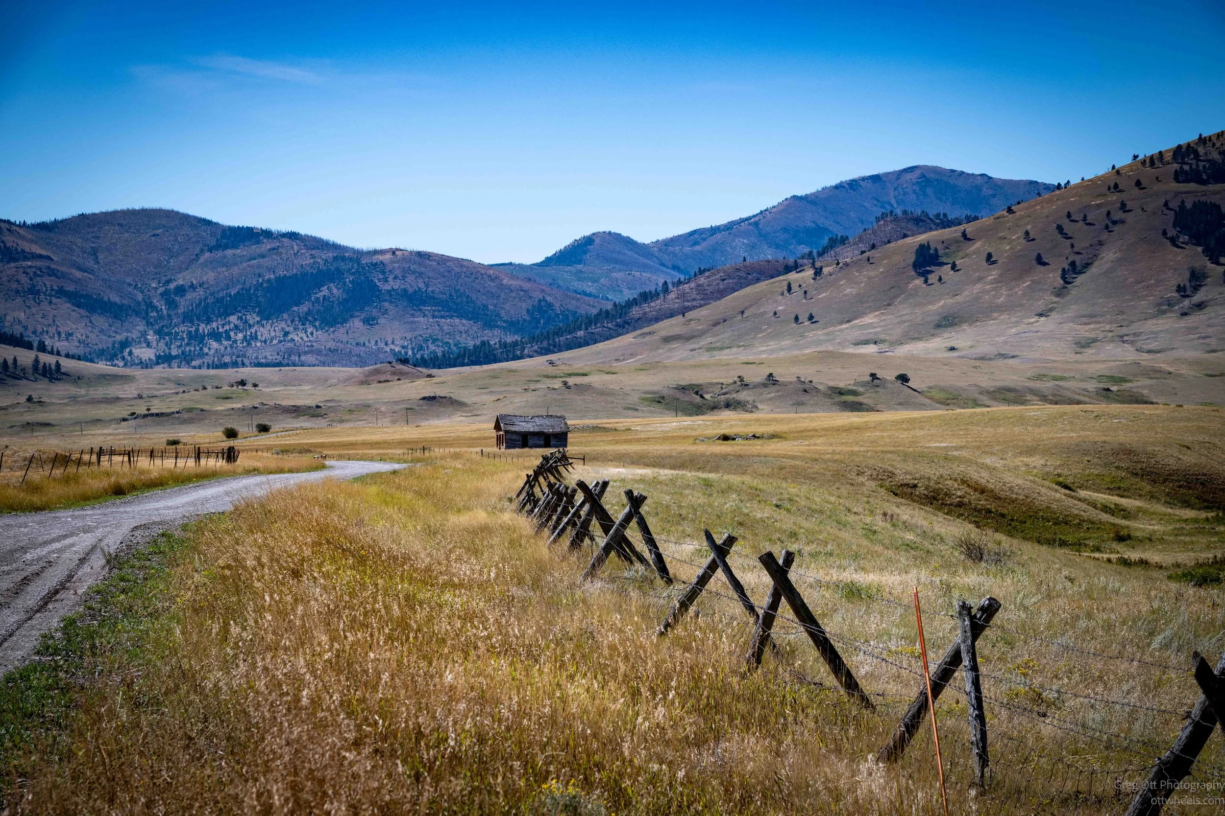 _NZ83115.jpg