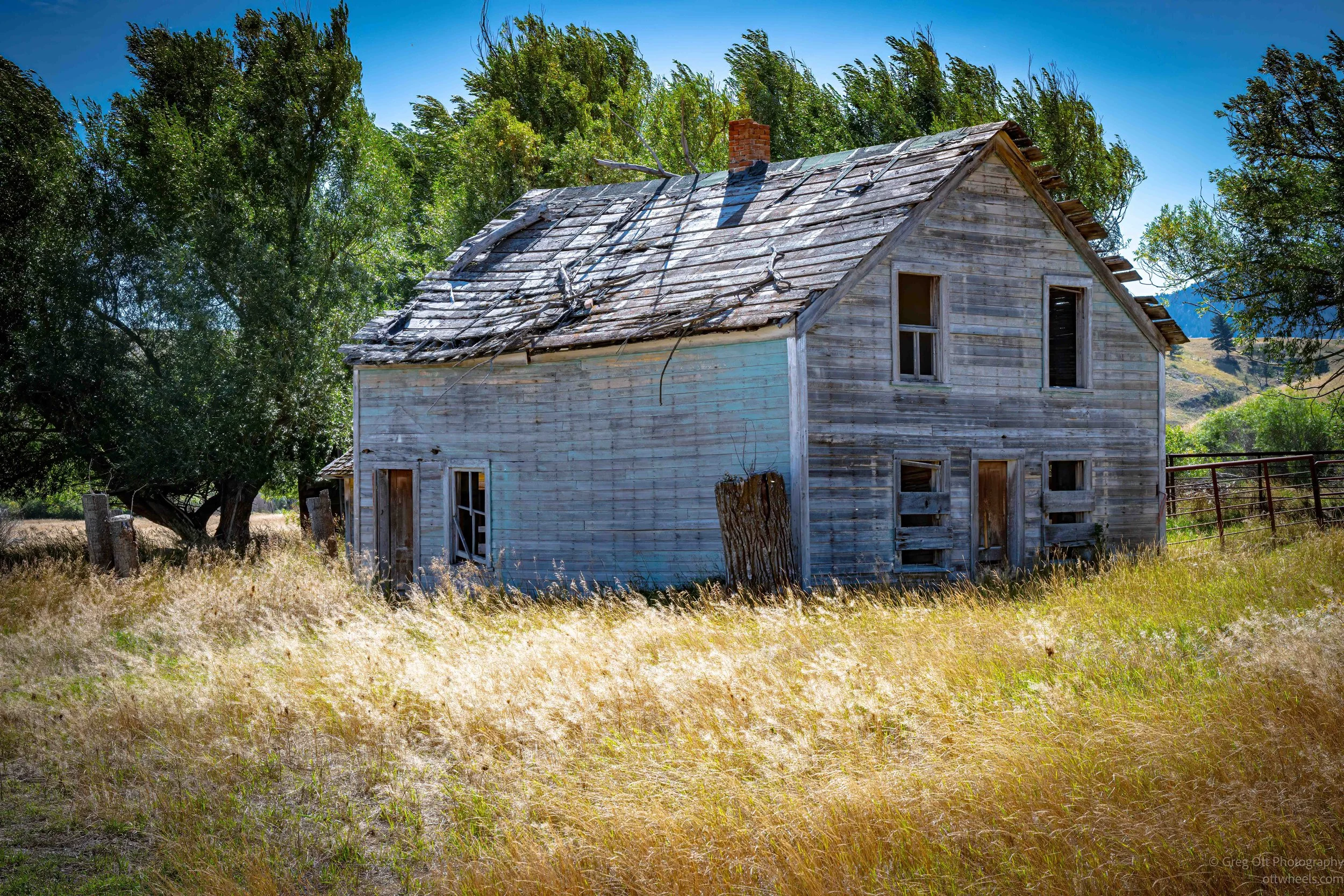_NZ83113-Edit.jpg