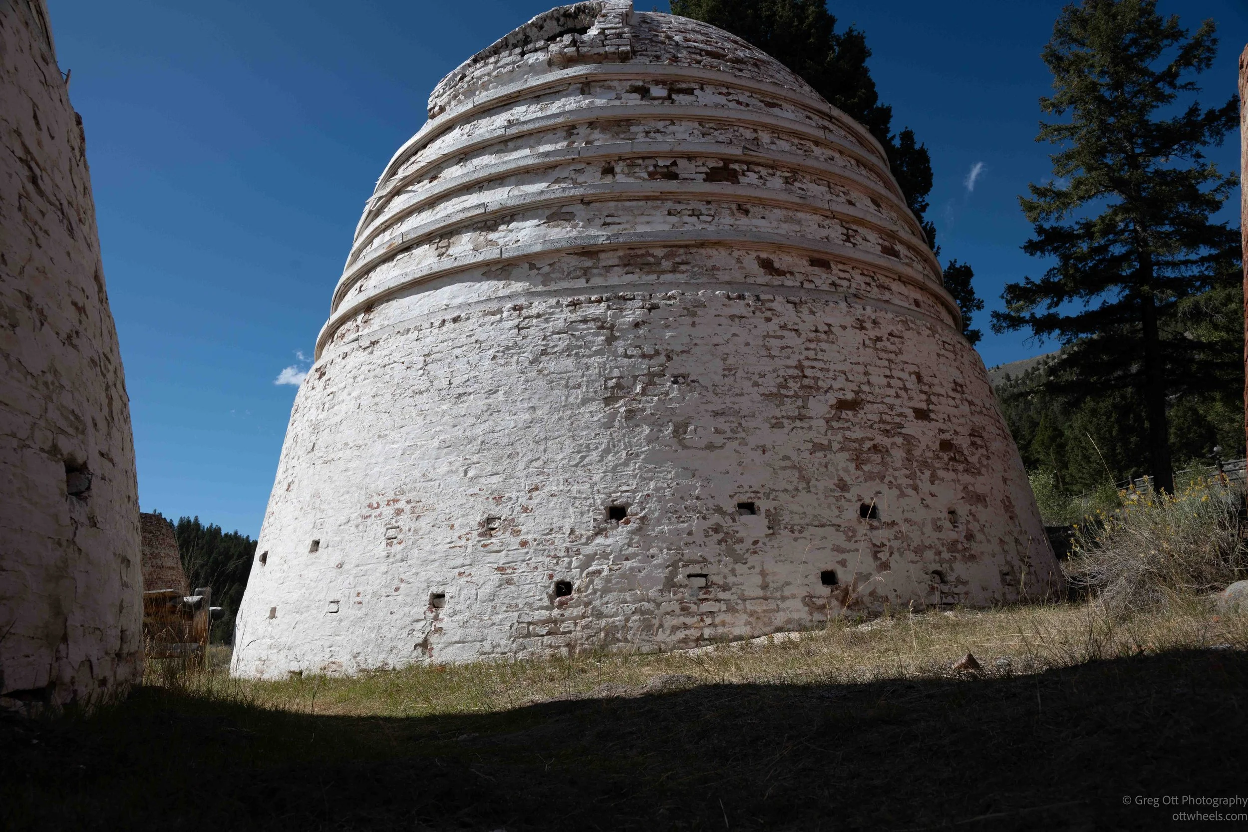 _NZ84007.jpg