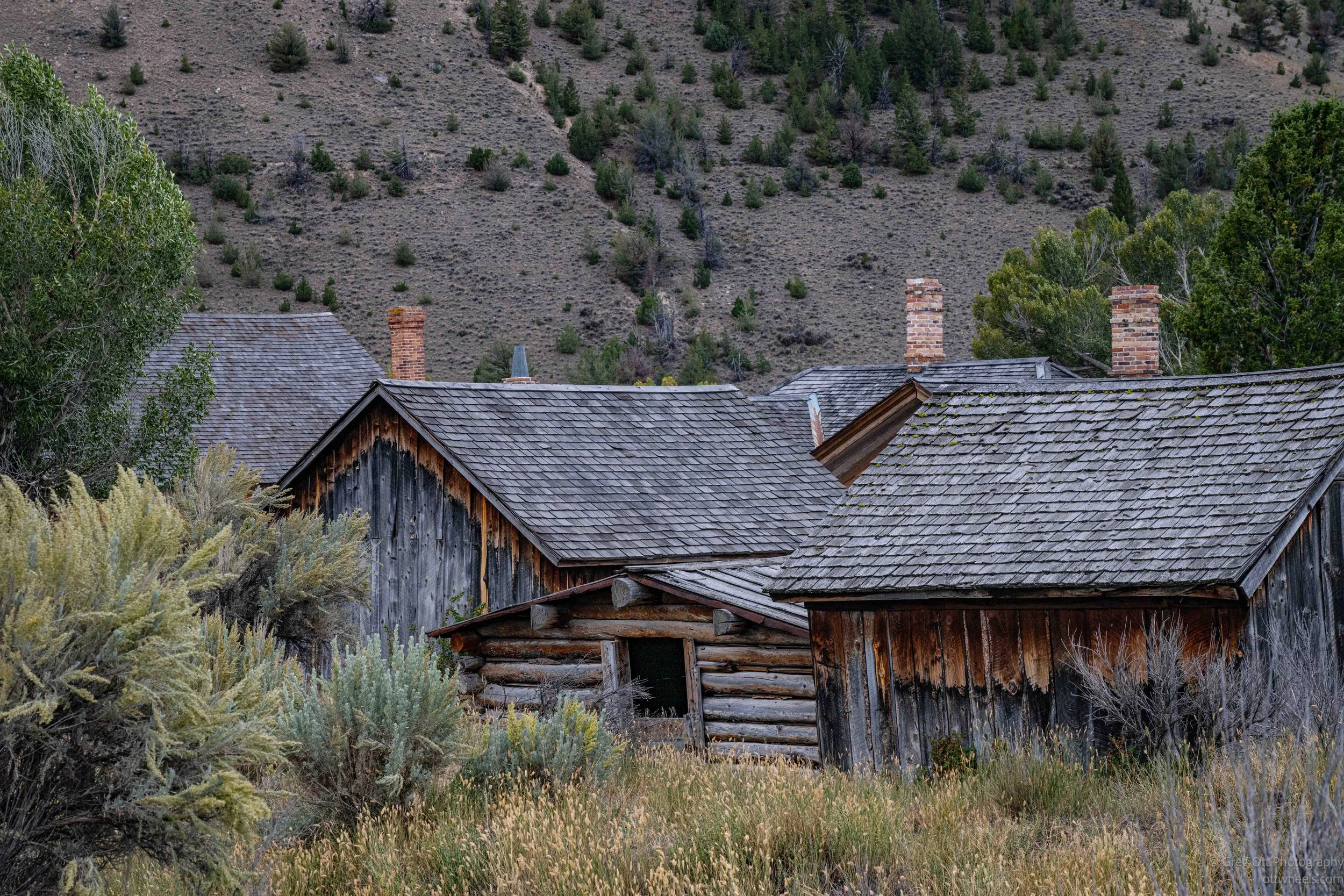 _NZ84087.jpg