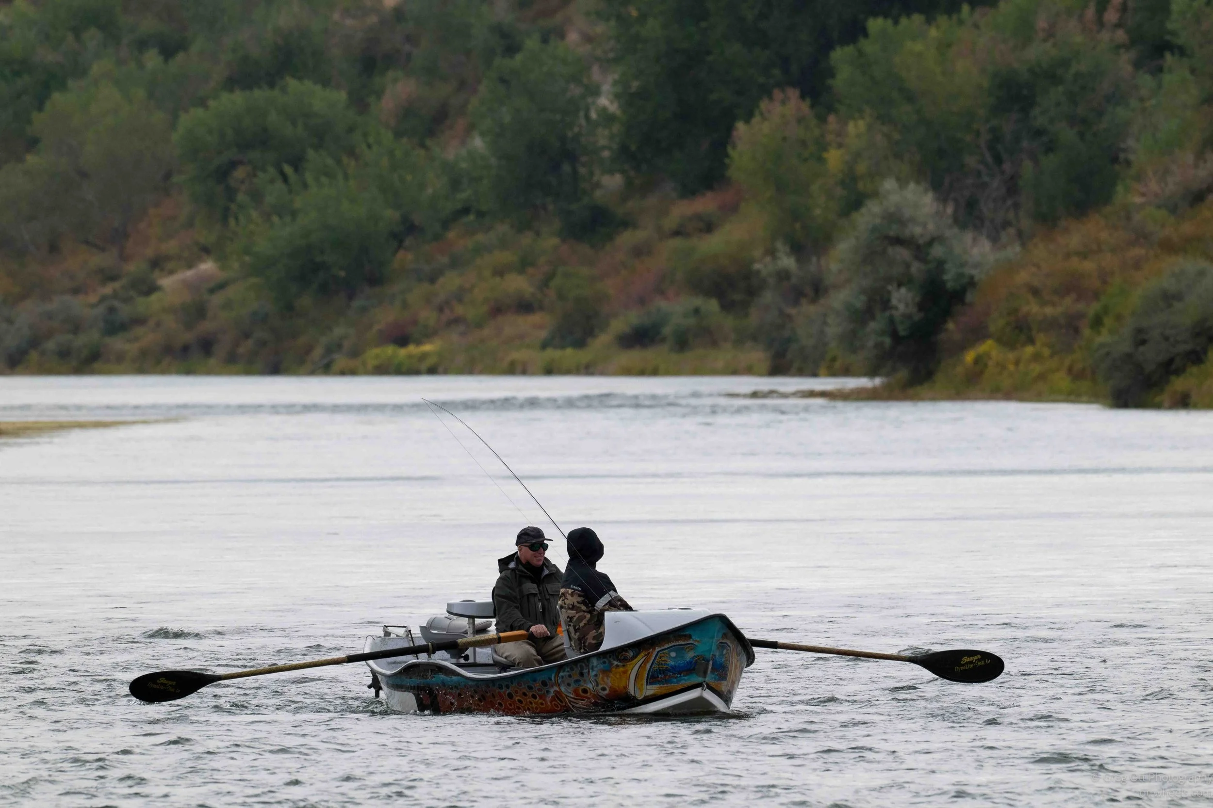 NZ8_4470.jpg