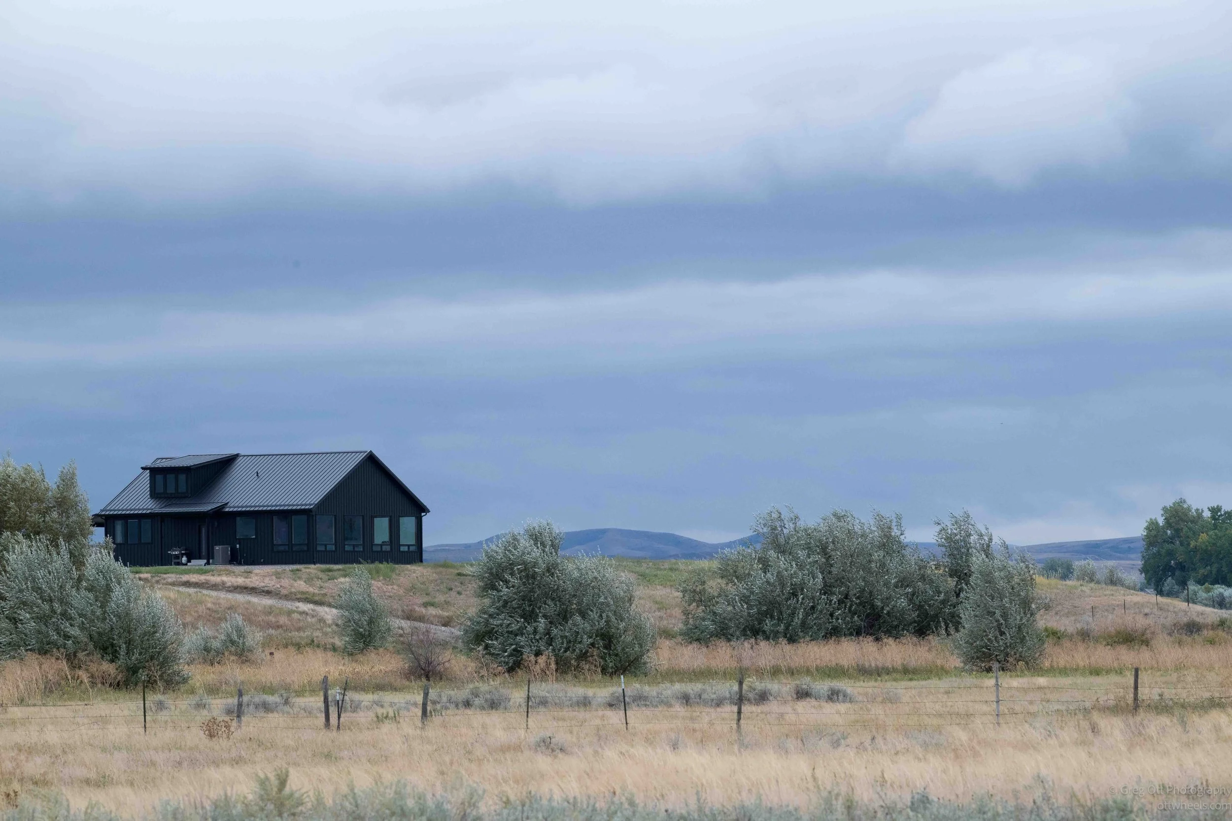 NZ8_4391.jpg