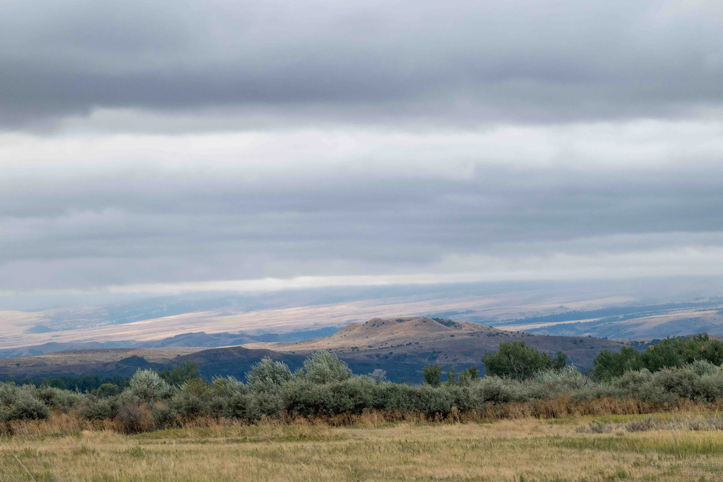 NZ8_4445.jpg