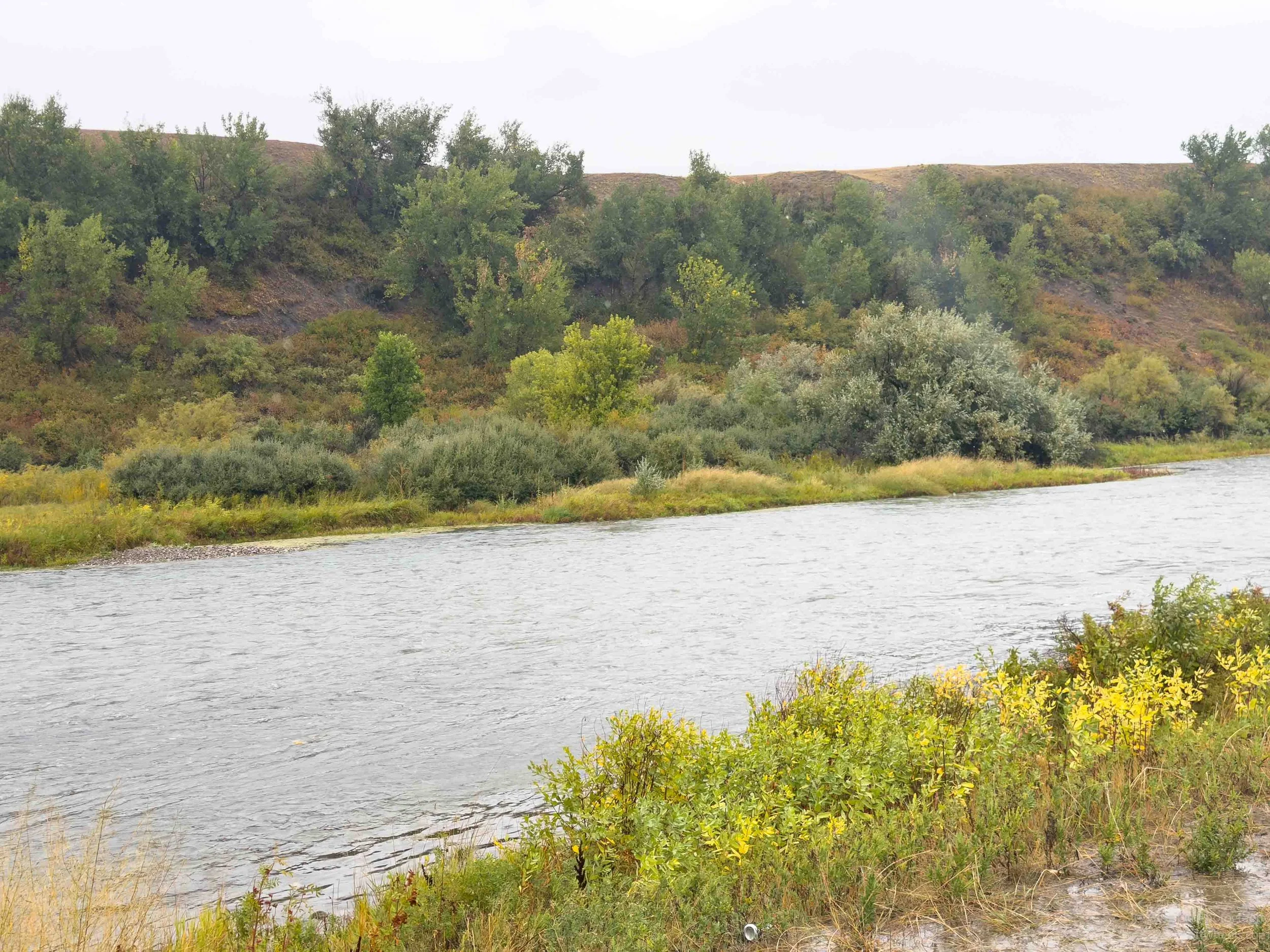 IMG_2153.jpg
