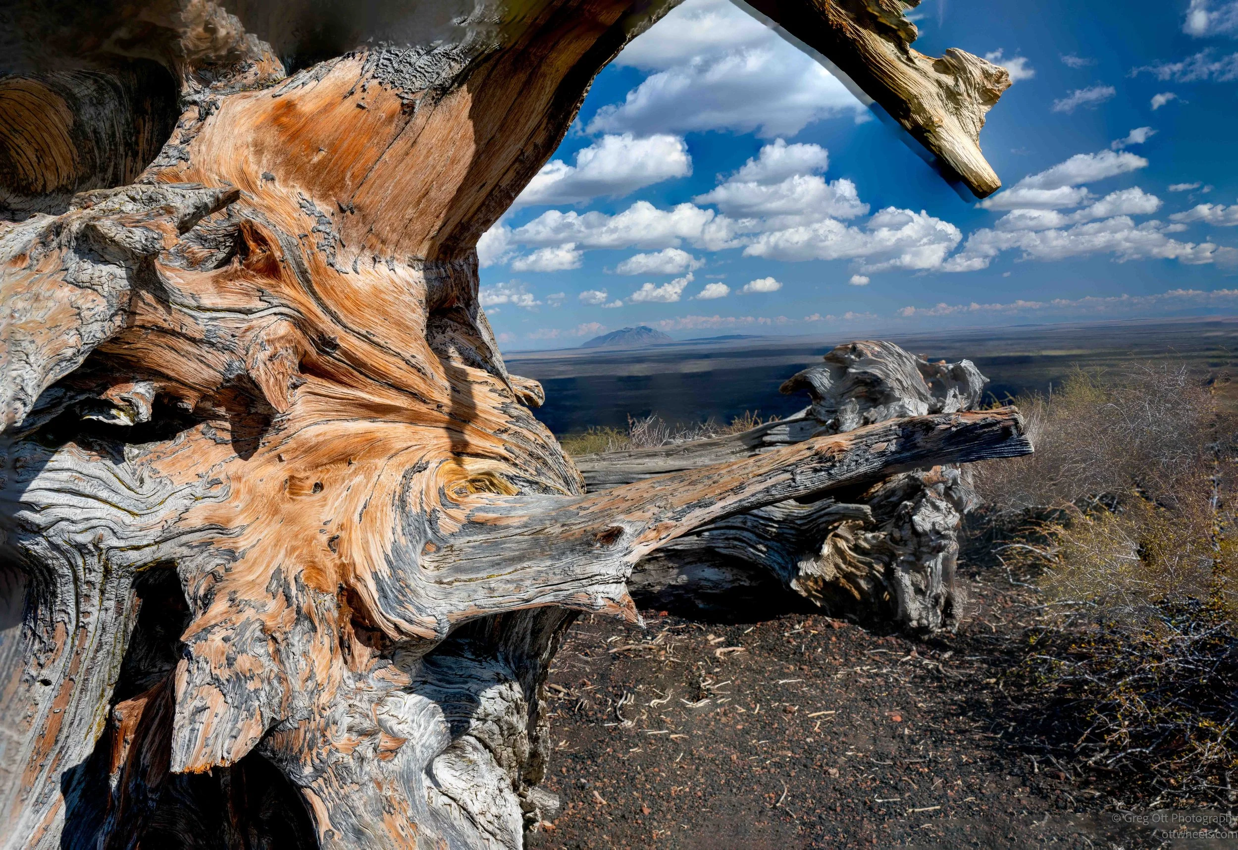 _NZ84850-Edit.jpg