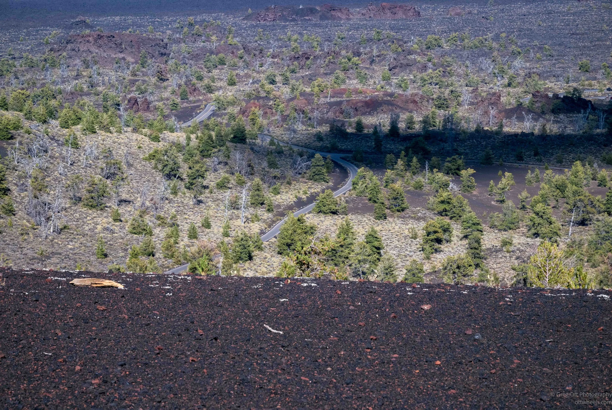 _NZ84842-Edit.jpg