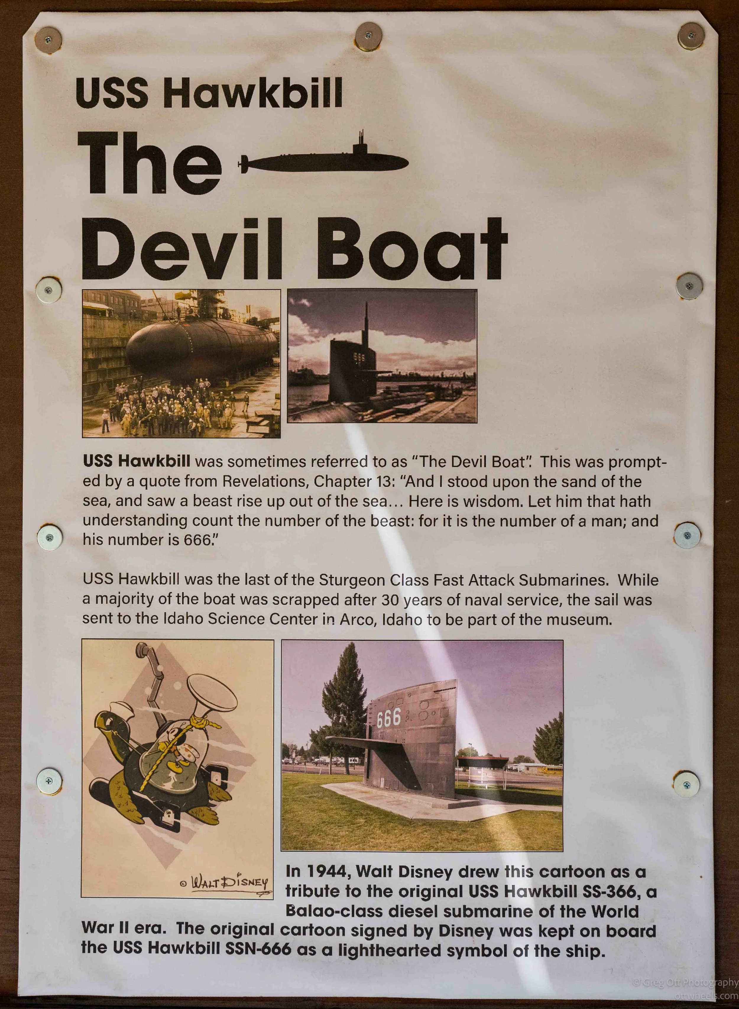 _NZ84789.jpg
