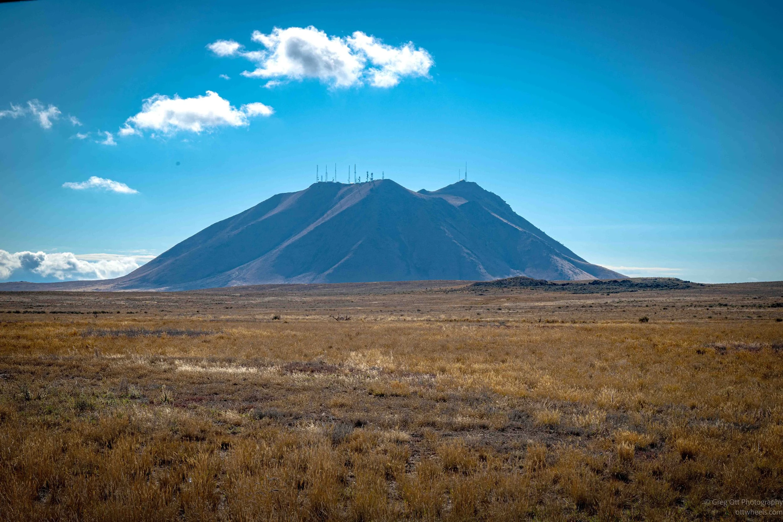 _NZ84705.jpg