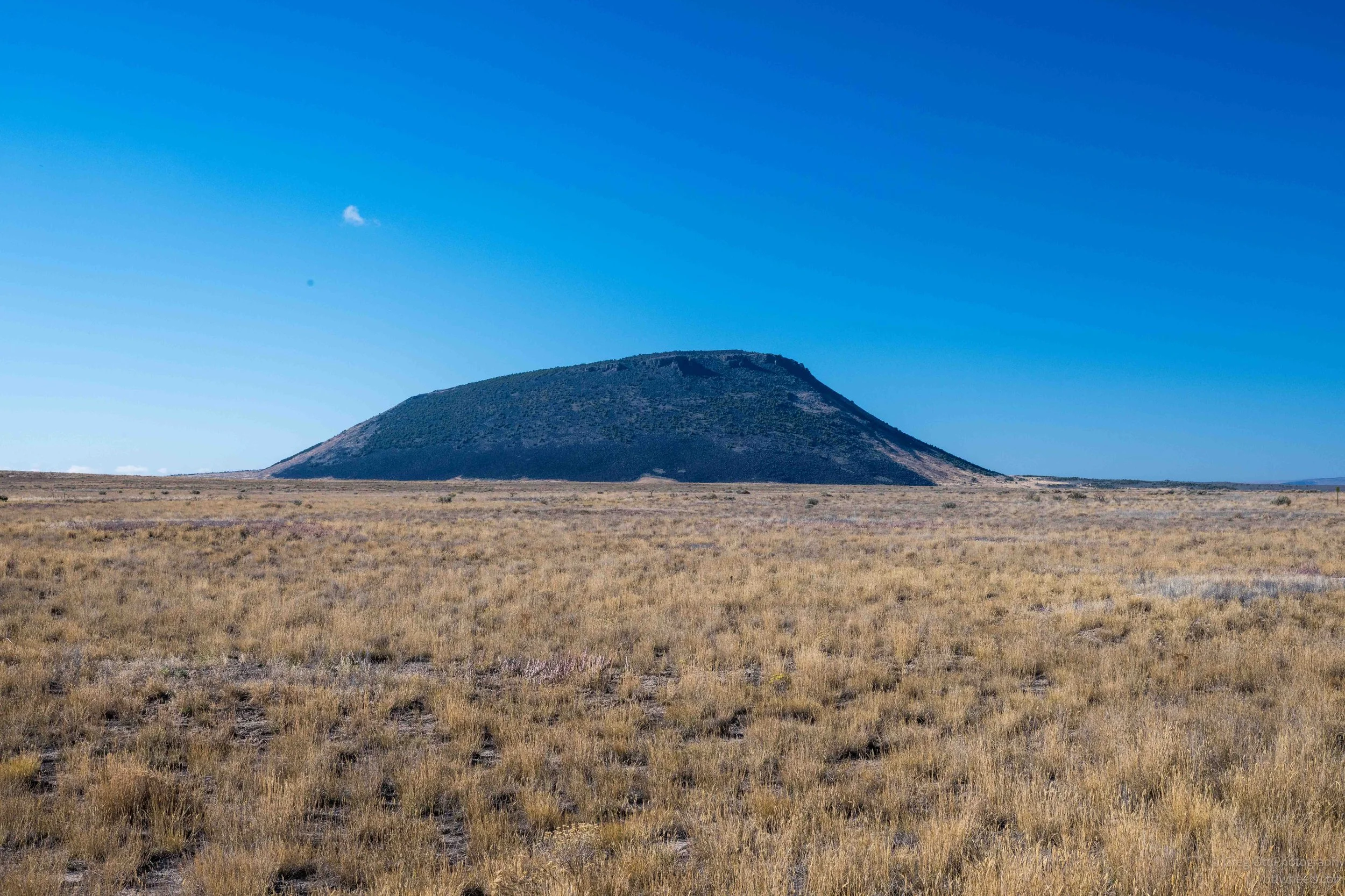 _NZ84704.jpg