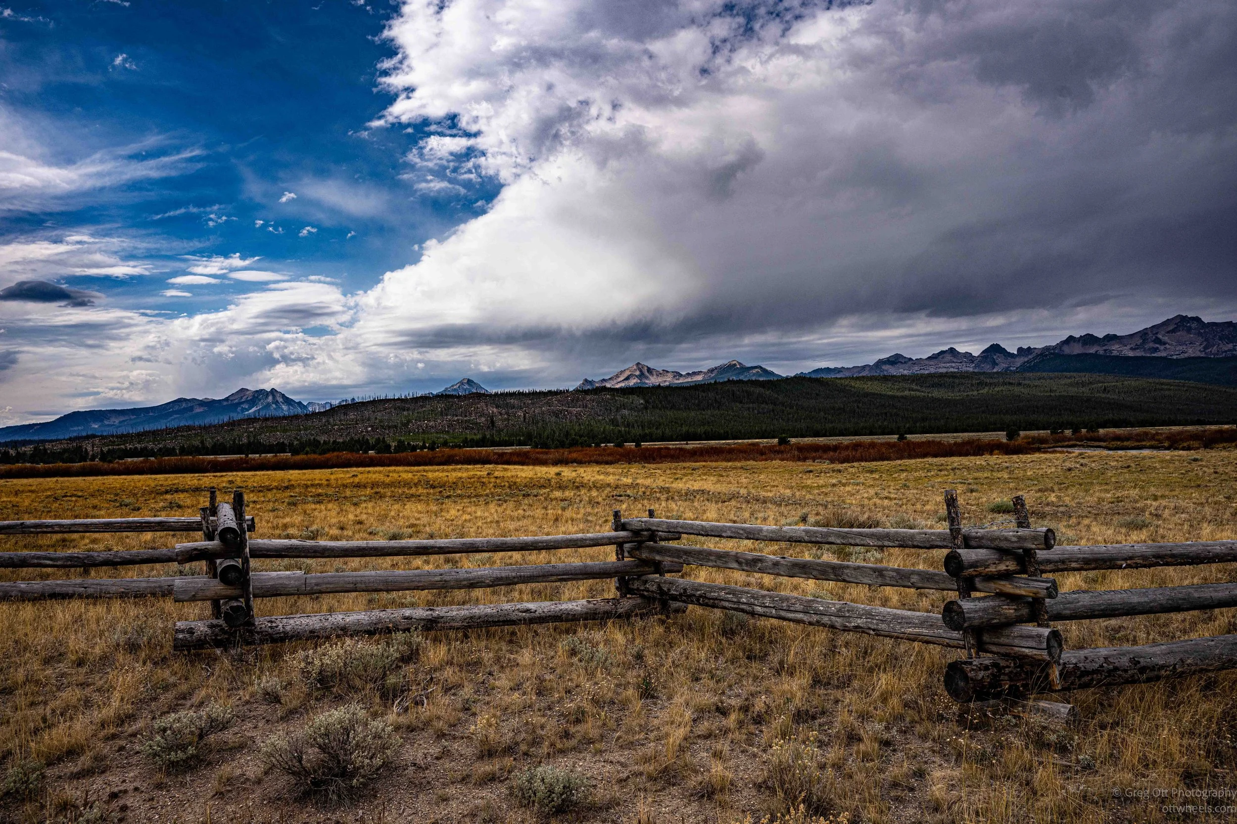 _NZ74810-Edit.jpg