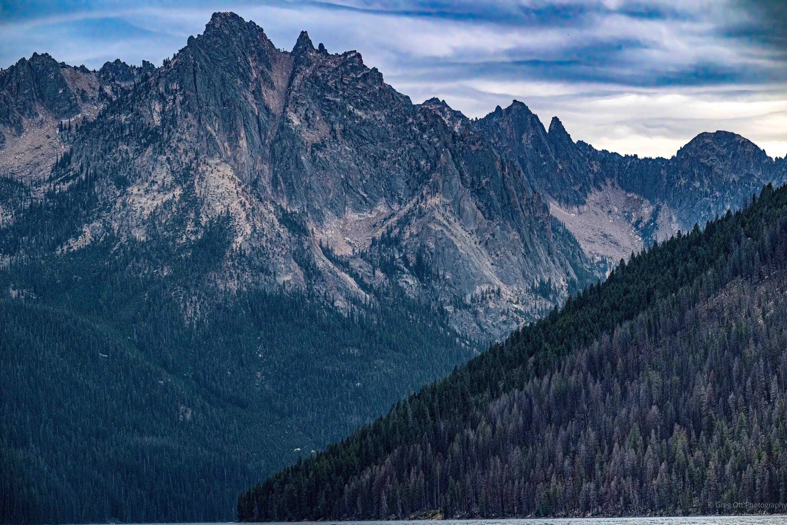 NZ8_5001-Edit.jpg