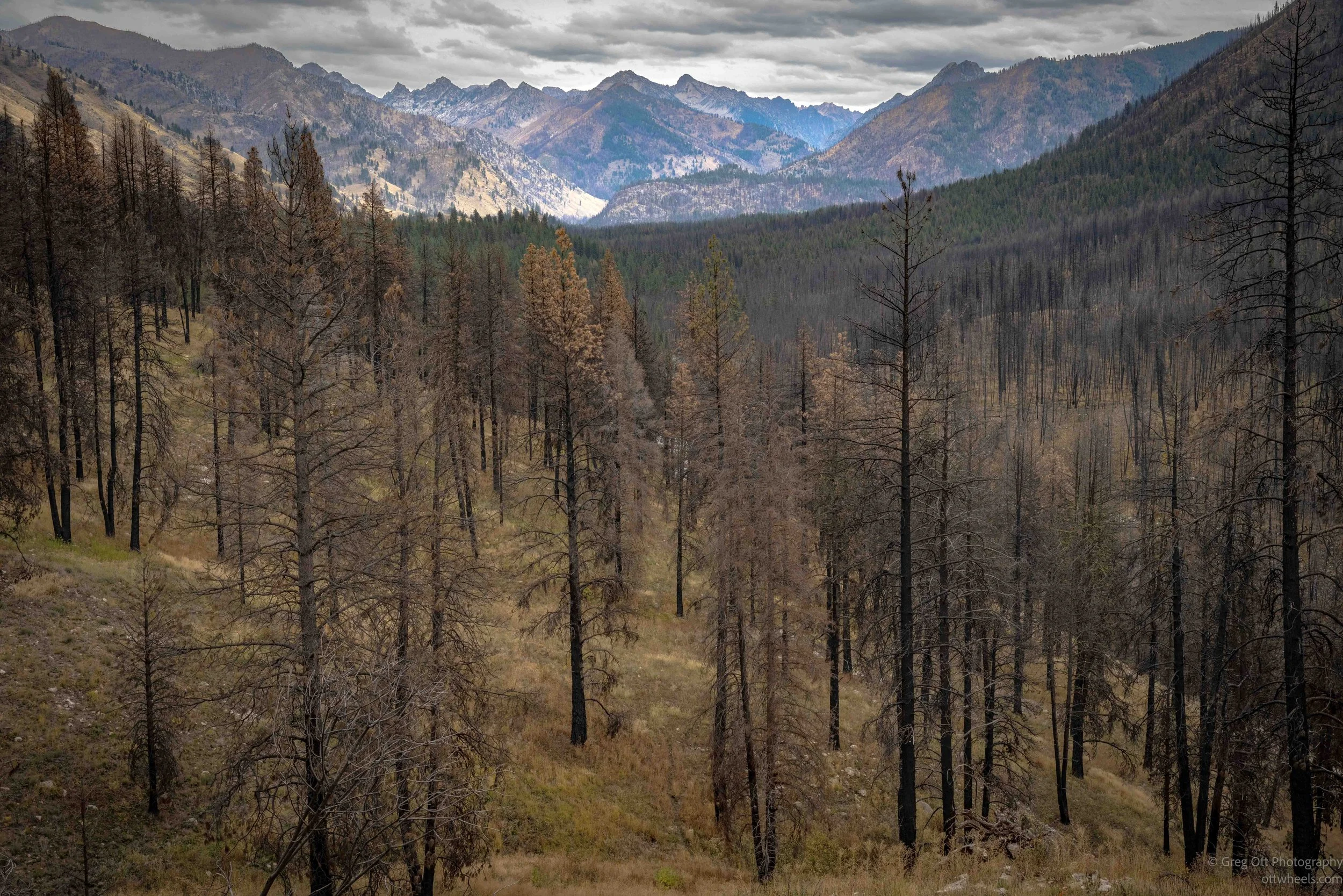 Burned Forests and Idaho City