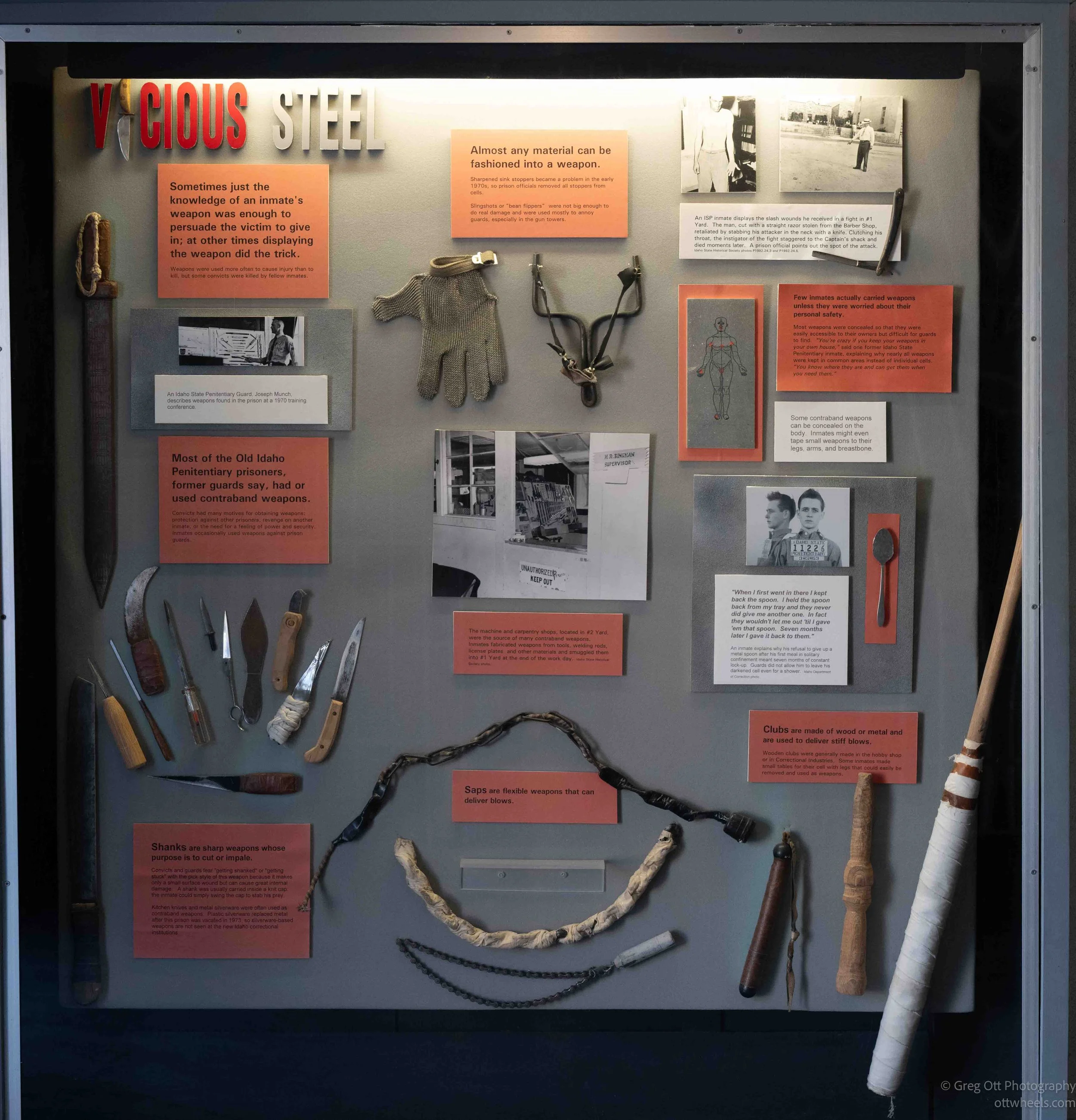 NZ8_5562.jpg