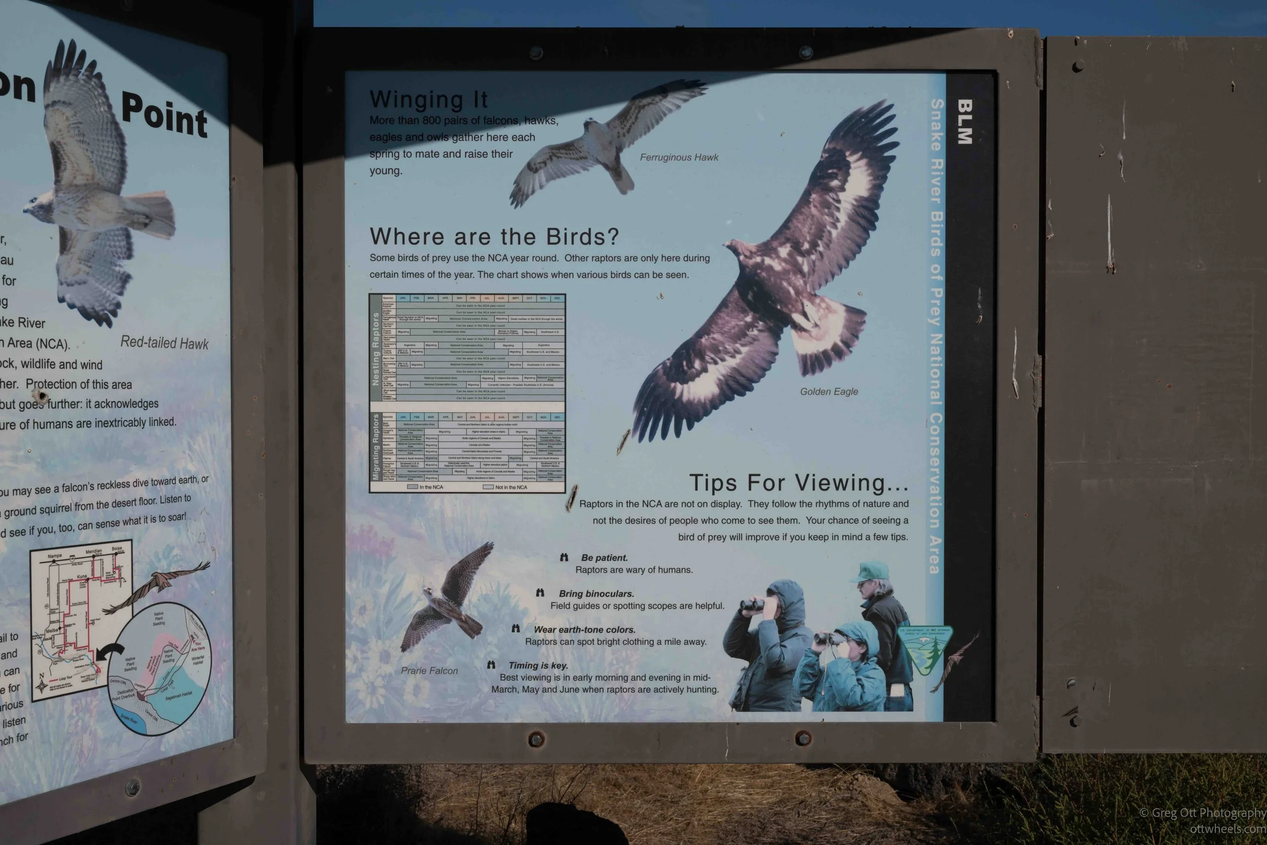 NZ8_5778.jpg