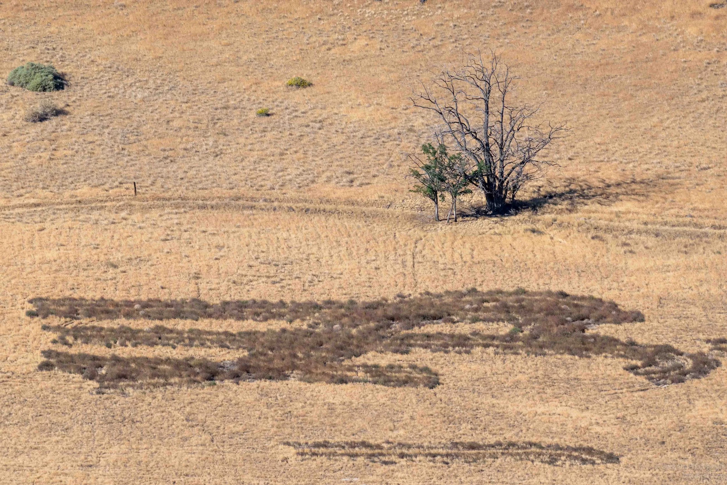 NZ8_5797.jpg