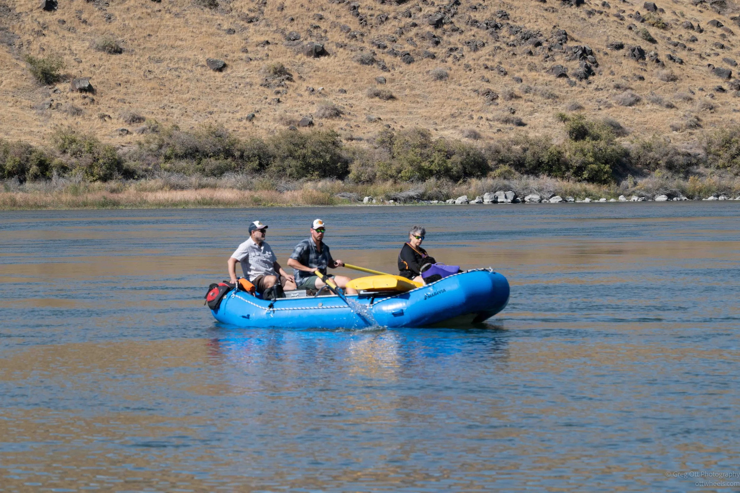 NZ8_5817.jpg